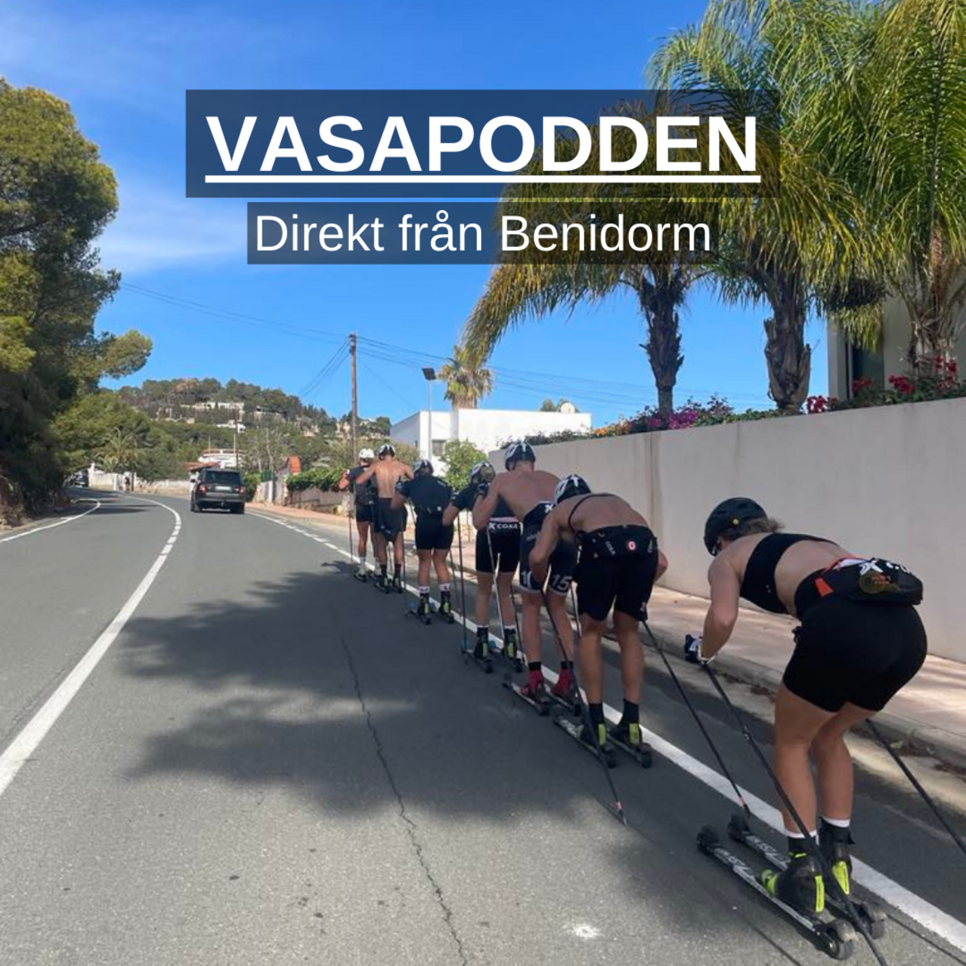 Vasapodden