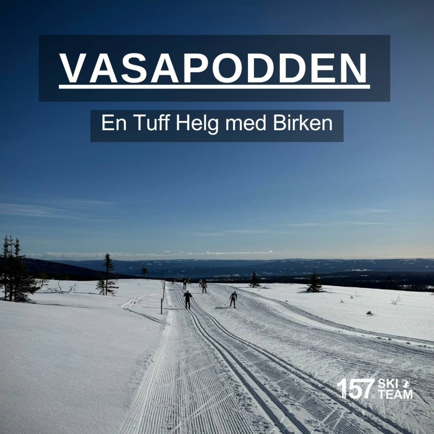 Vasapodden