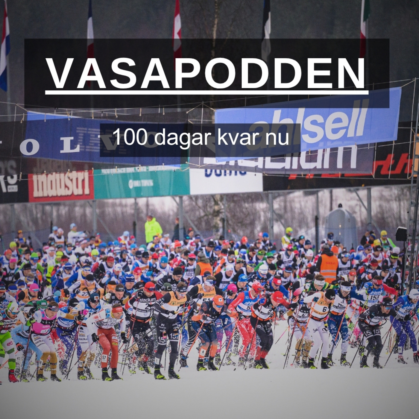 Vasapodden