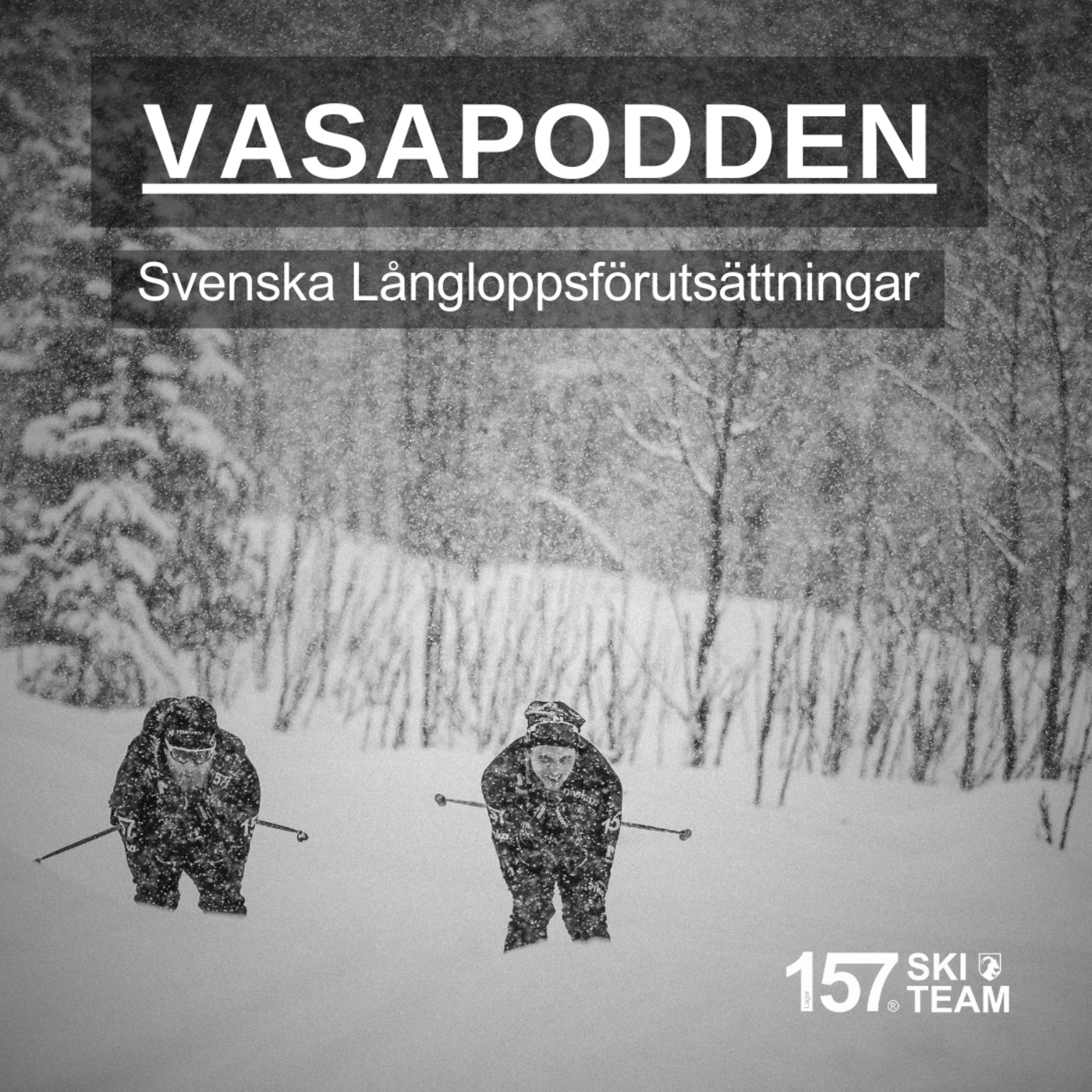 Vasapodden