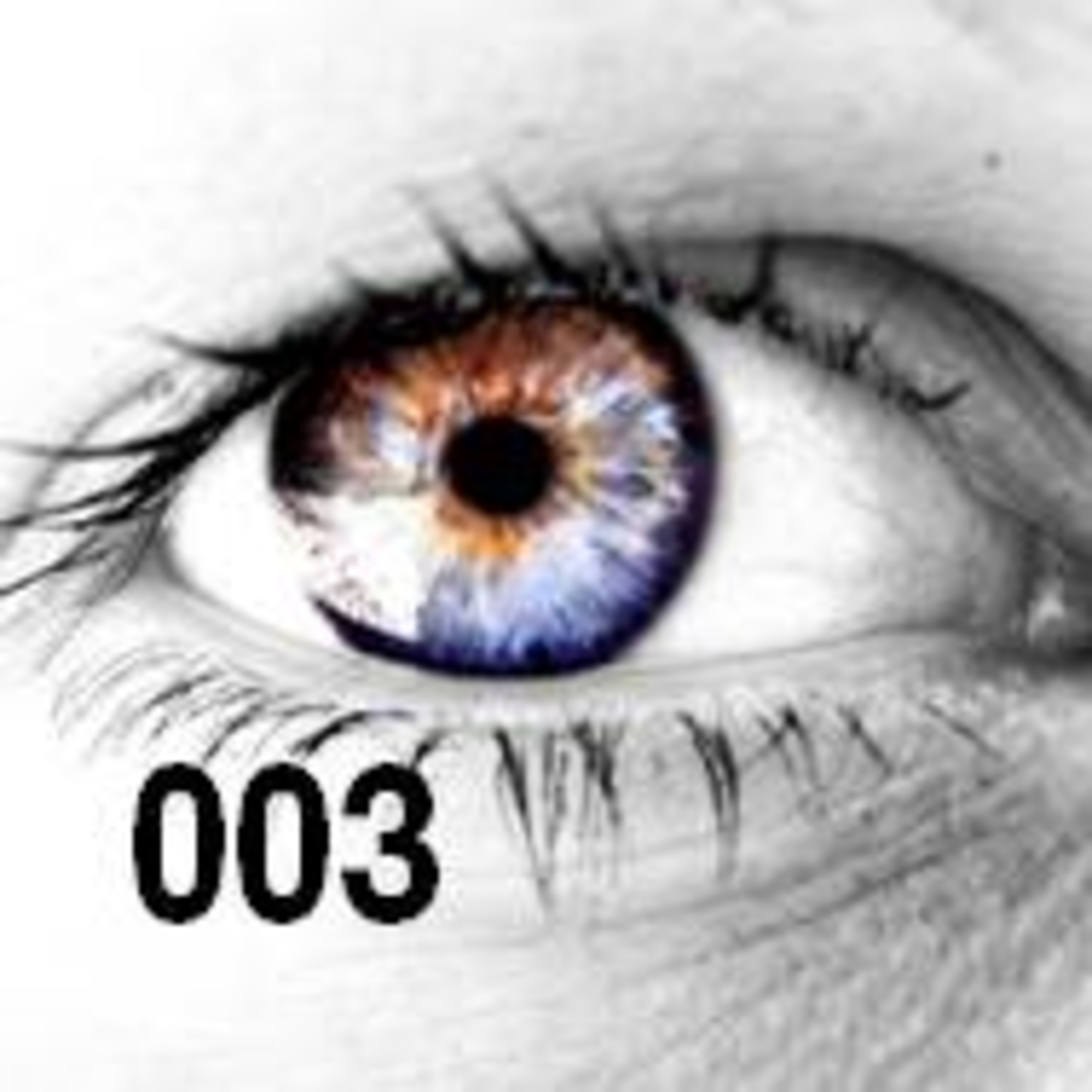 Demo 003 episode artwork
