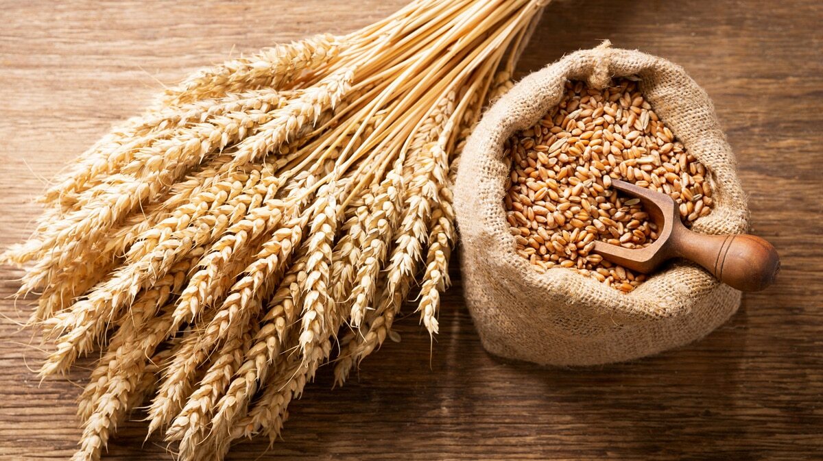 Episode 263: 32AD Passion Week Tuesday: The Grain of Wheat and the Voice from Heaven