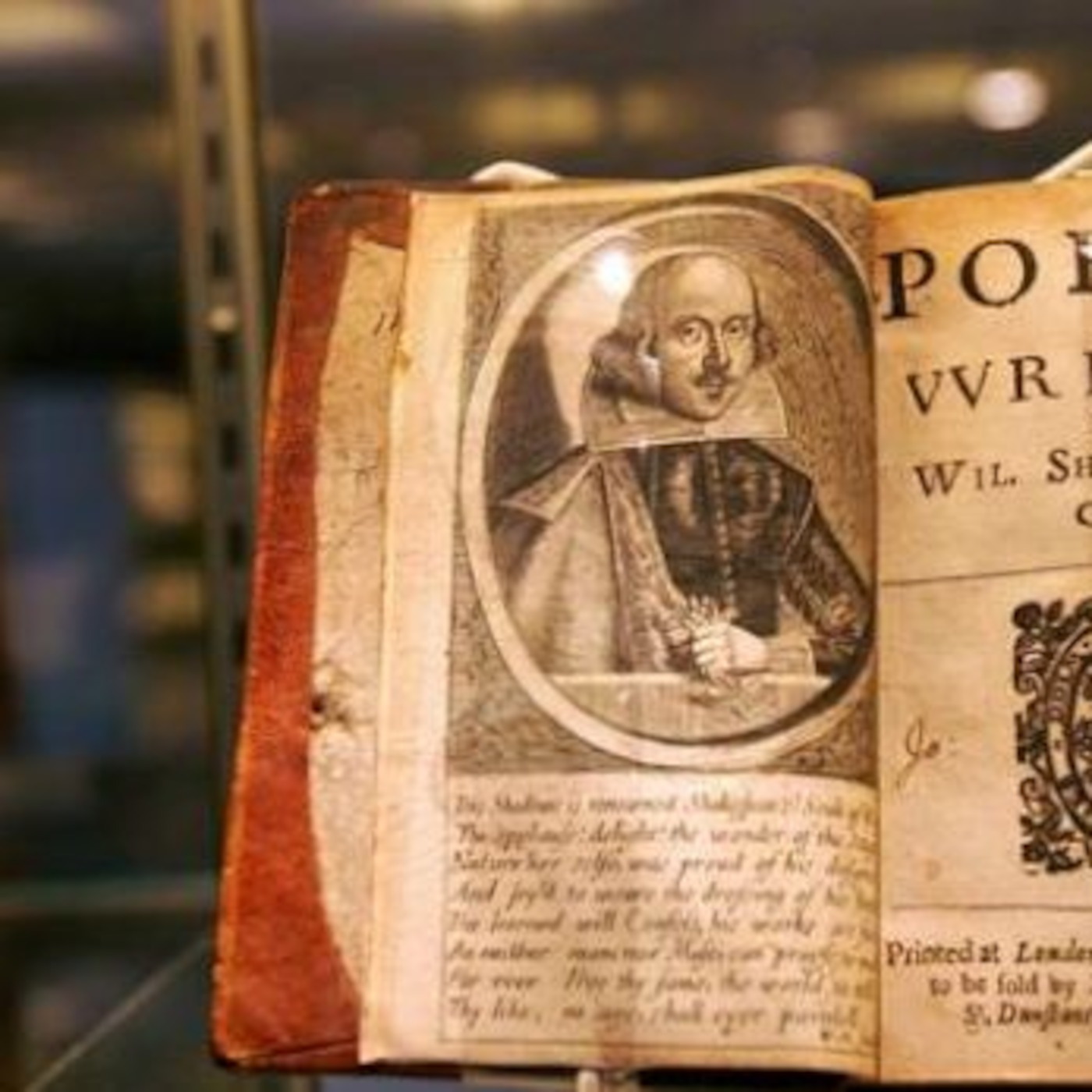 Un relato sobre libros