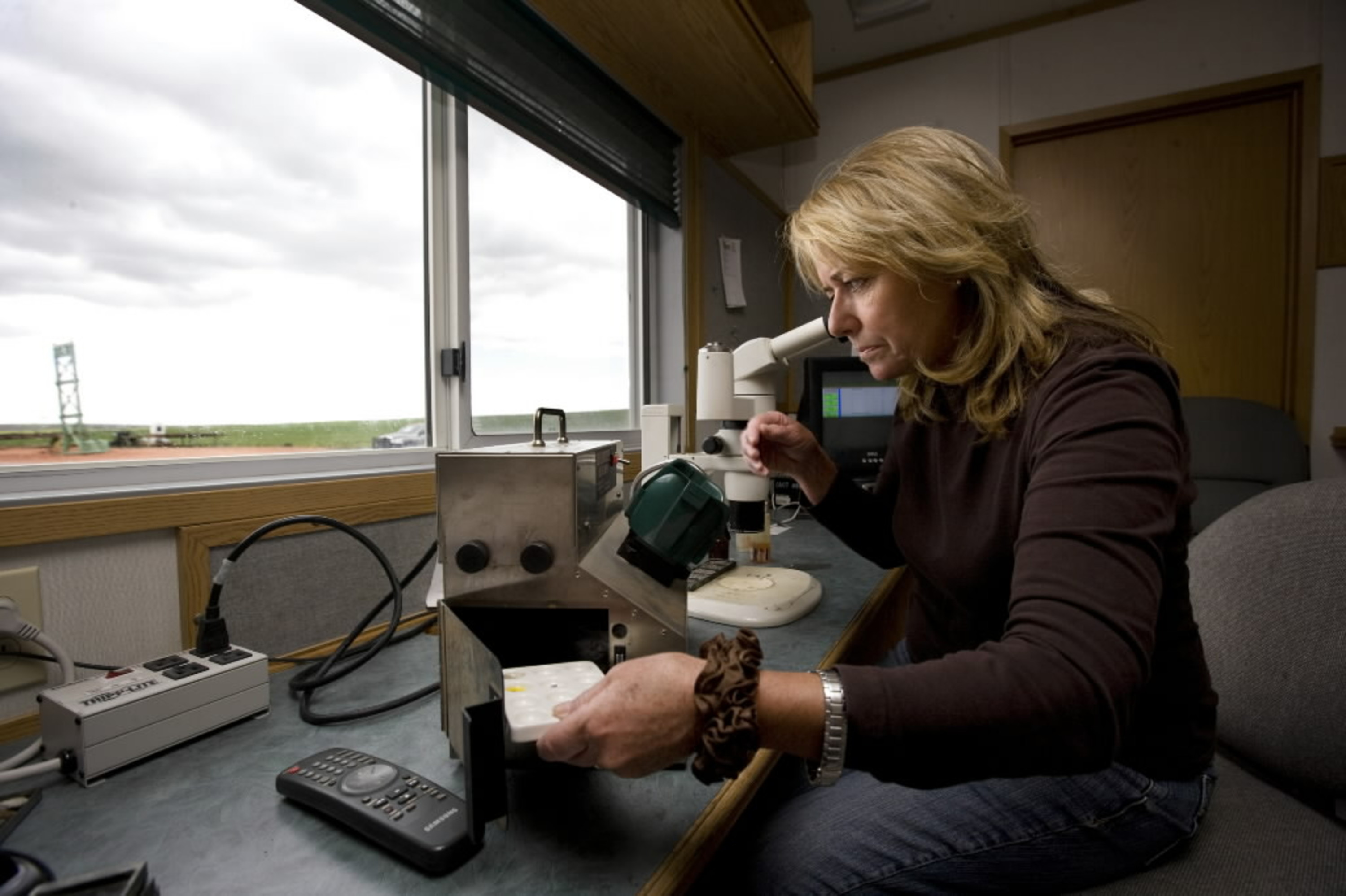 The Hegg Bakken Report\'s Podcast