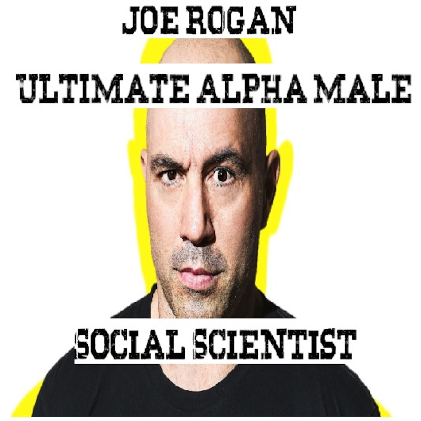 Joe Rogan. Ultimate Alpha Male - Episode 56 Social Scientists Show