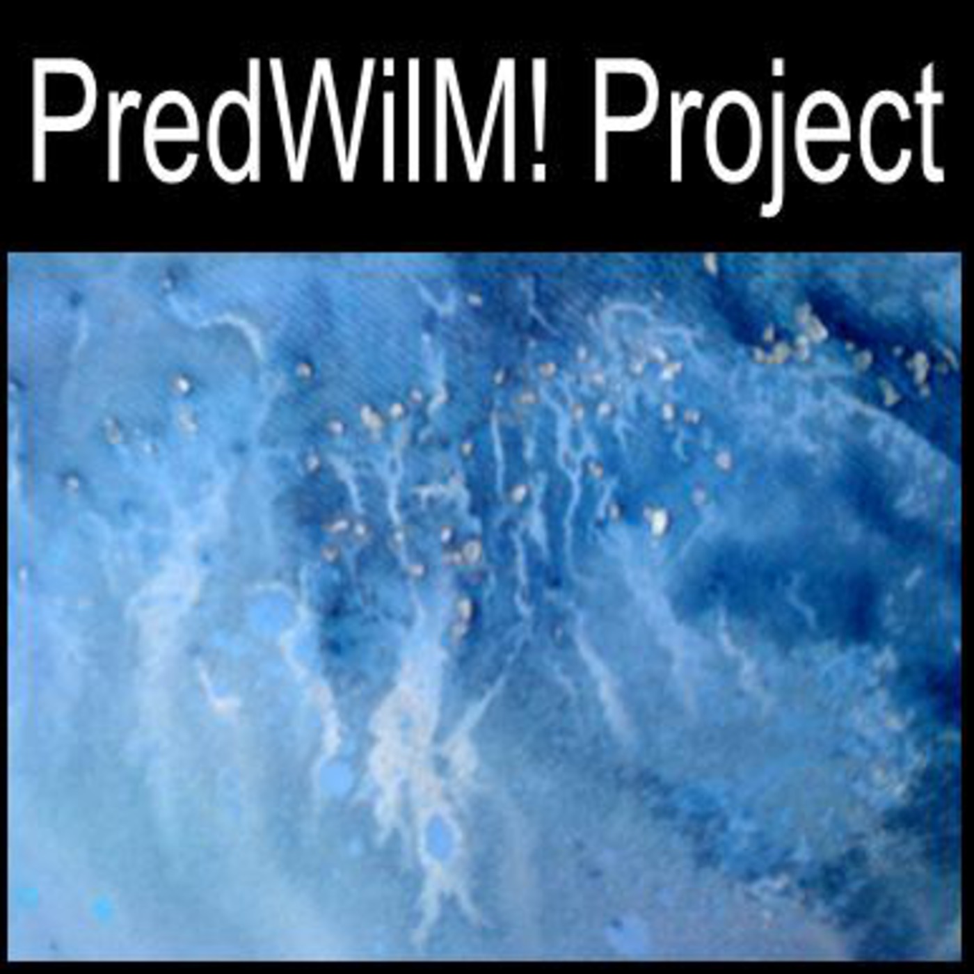 PredWilM! Project...