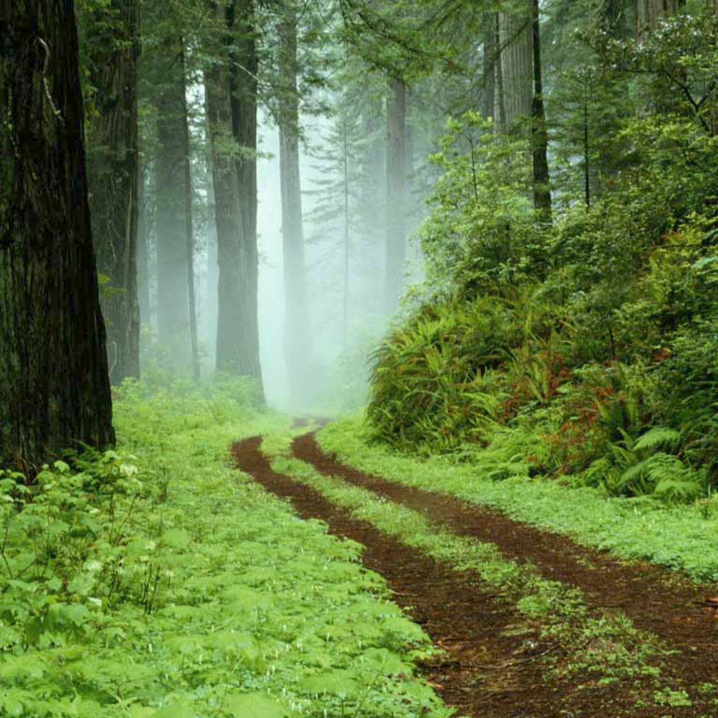 WISDOM FROM PROVERBS - CHAPTER 7