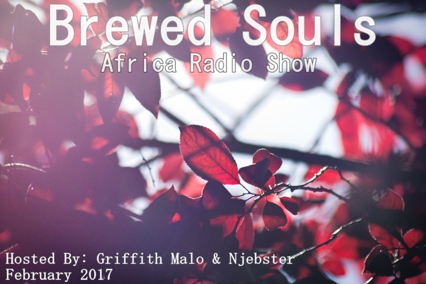 Brewed Souls Africa Radio show 016