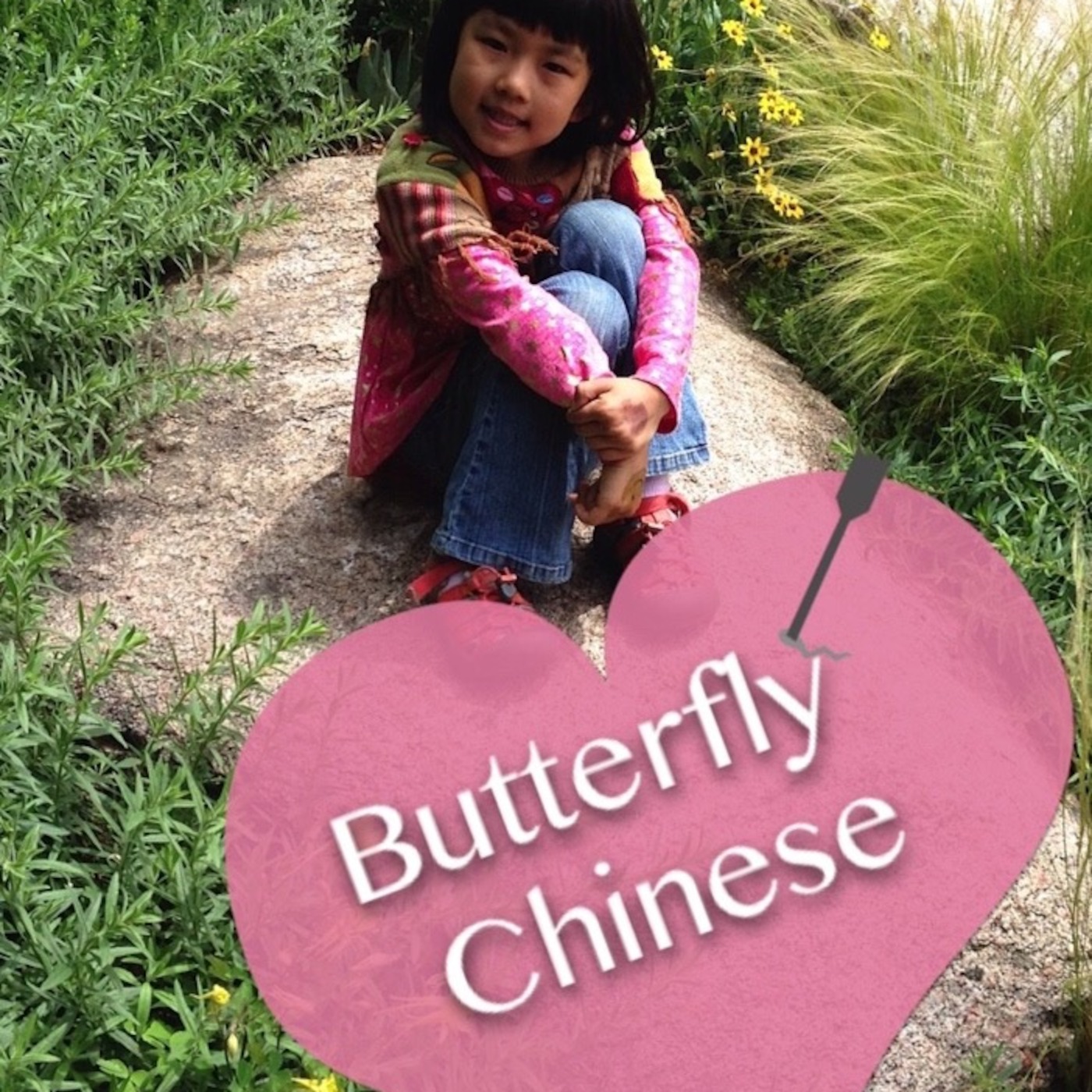 Butterfly Chinese