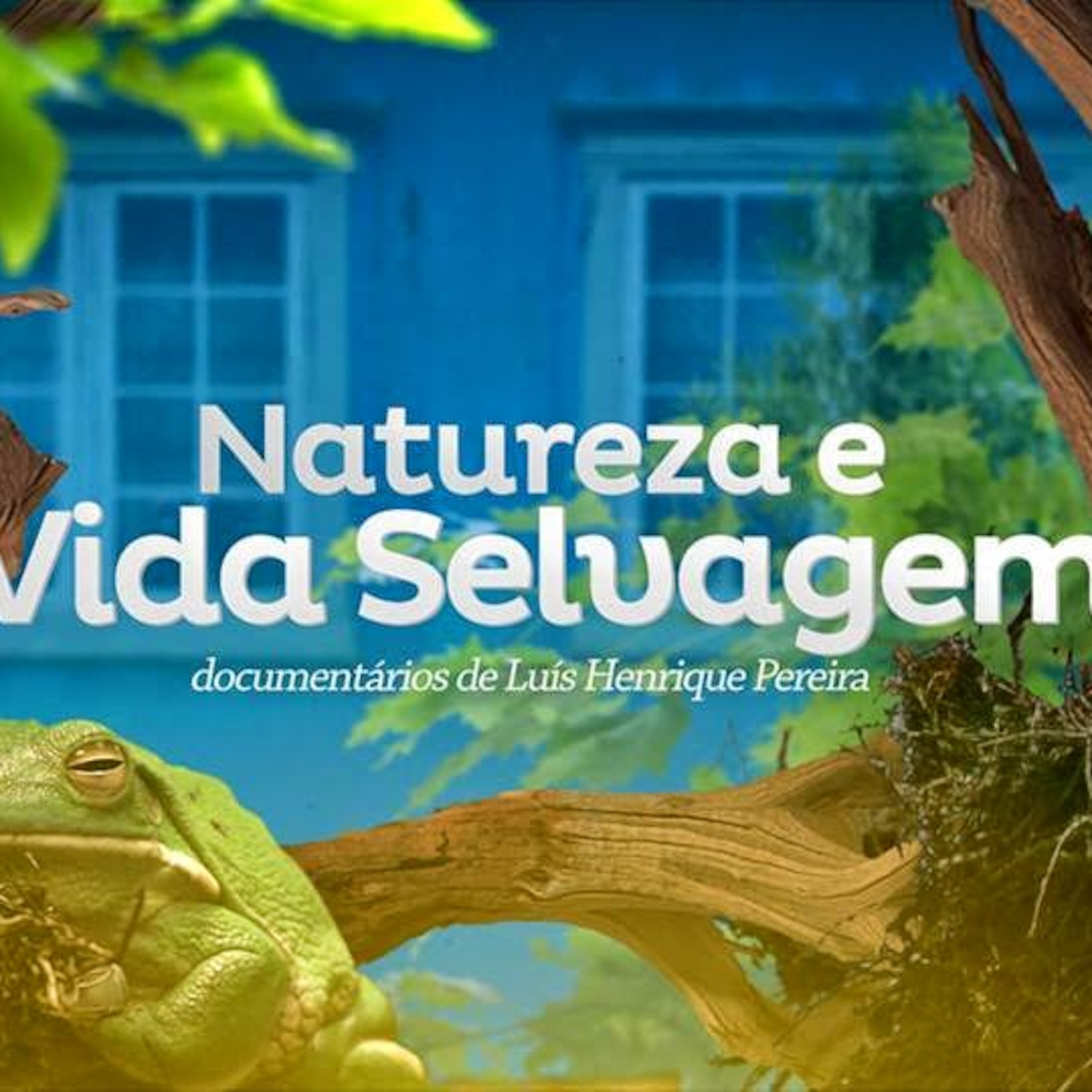 Eco-Sapiens Podcast