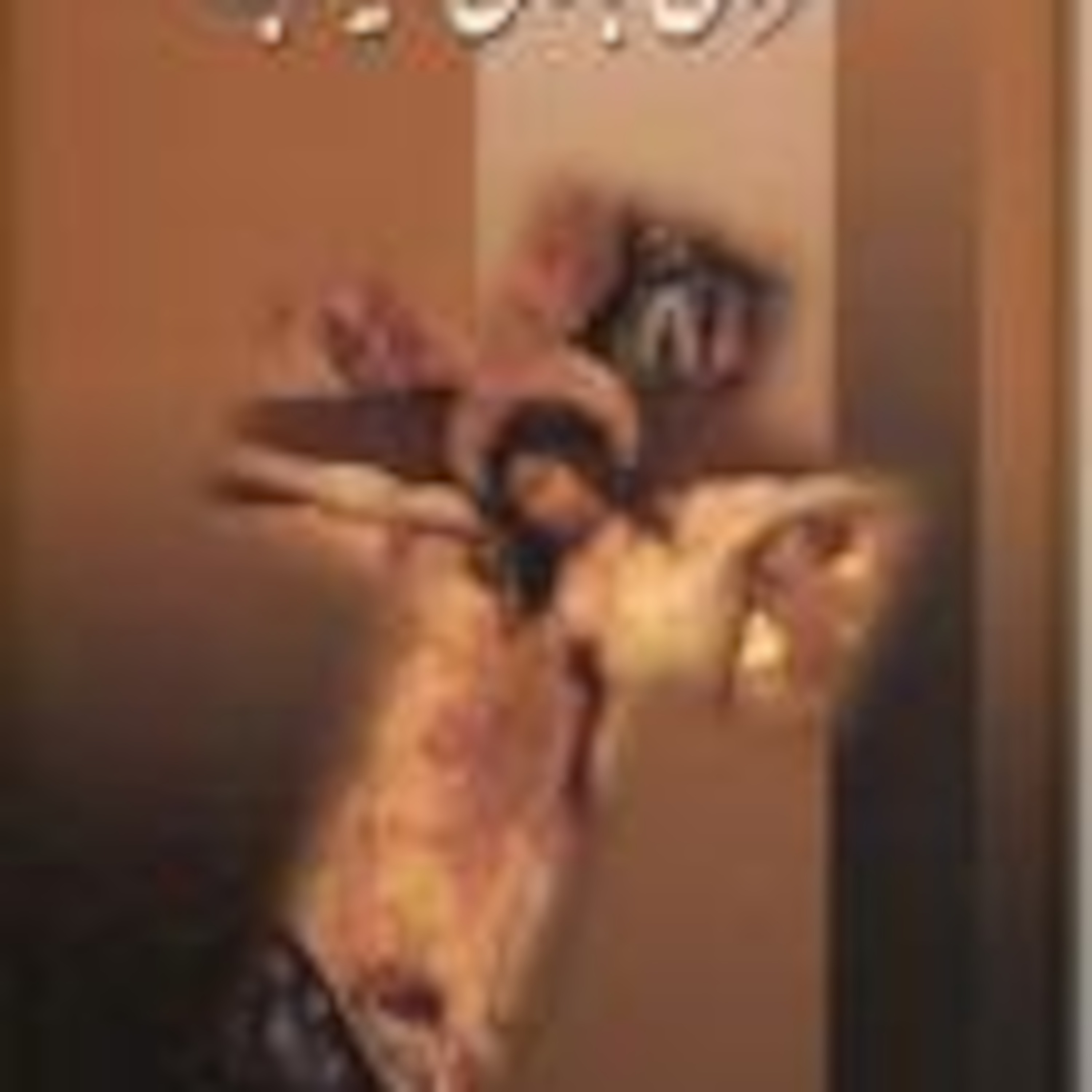 فصل پانزدهم: گفتگوی من با دو مرد مرموز قسمت اول episode artwork