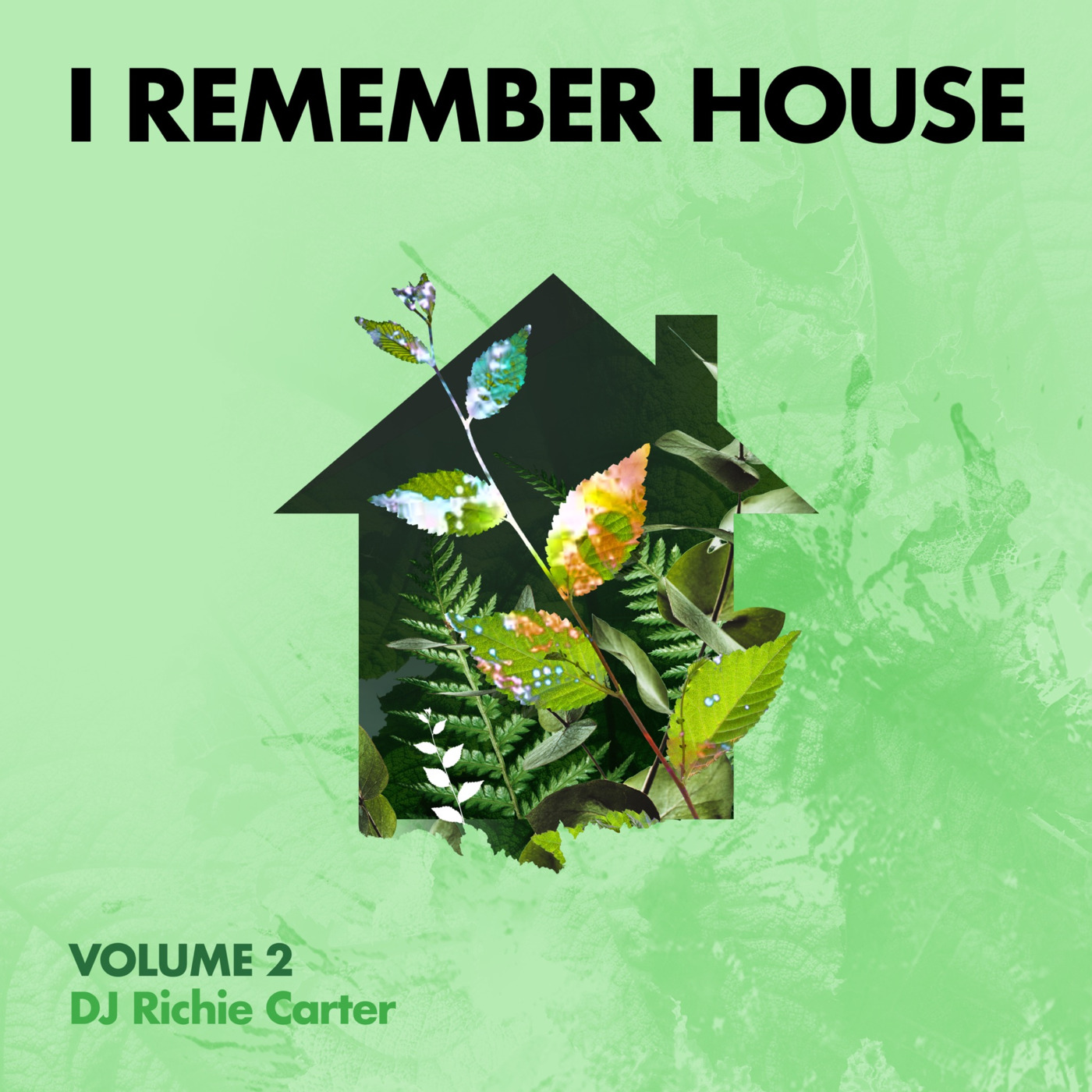 I Remember House - Vol. 2 (DJ Richie Carter)