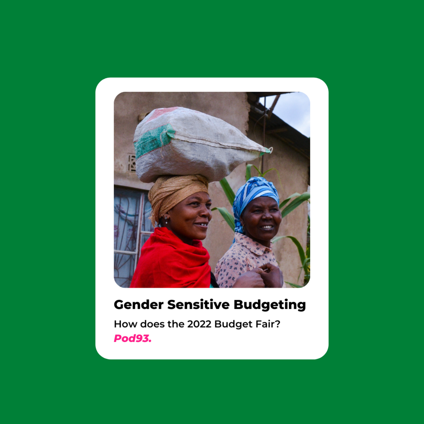 Episode 3: Gendered reflections on Zimbabwe's 2022 National Budget (Part 1)