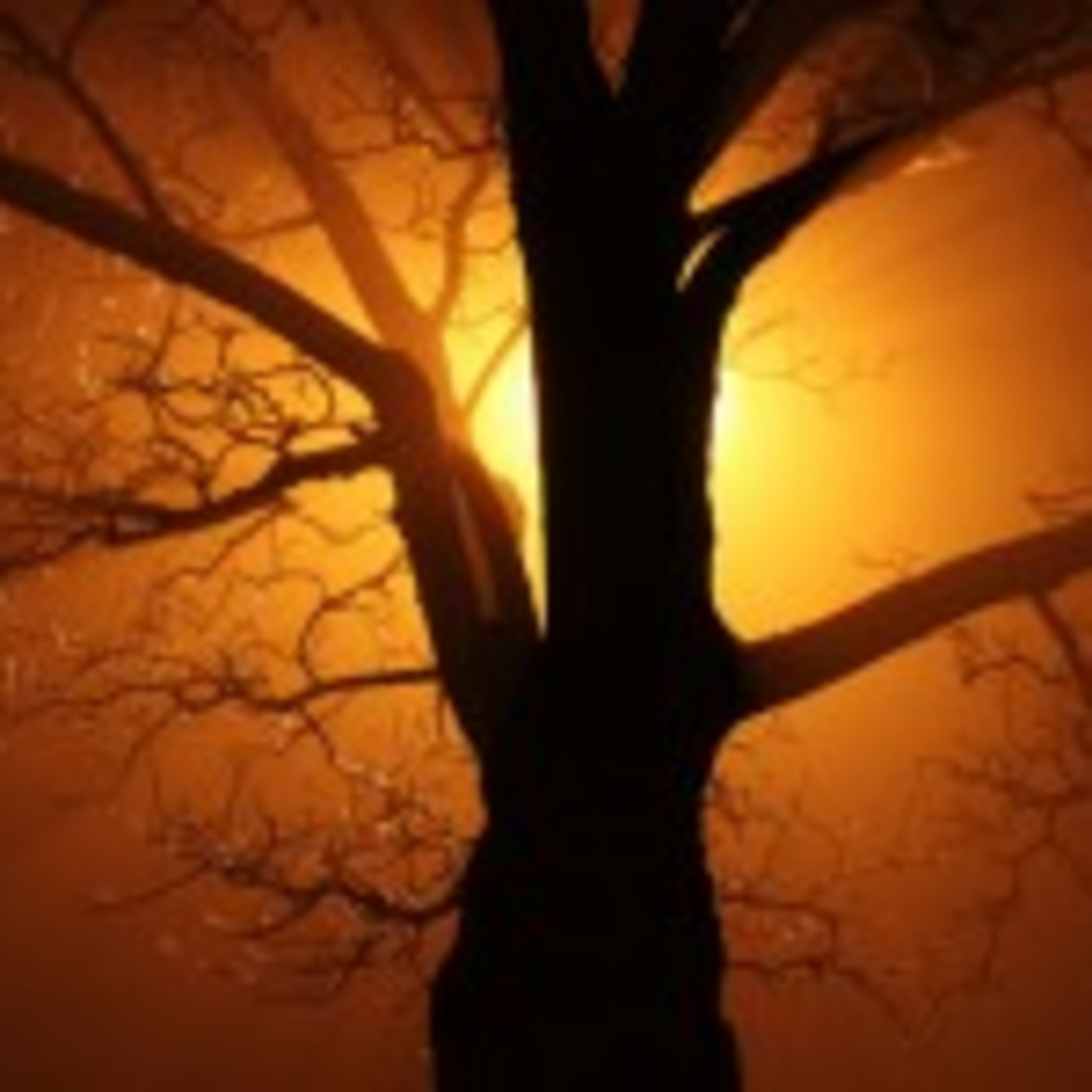 In a Twinkling of an Eye episode artwork