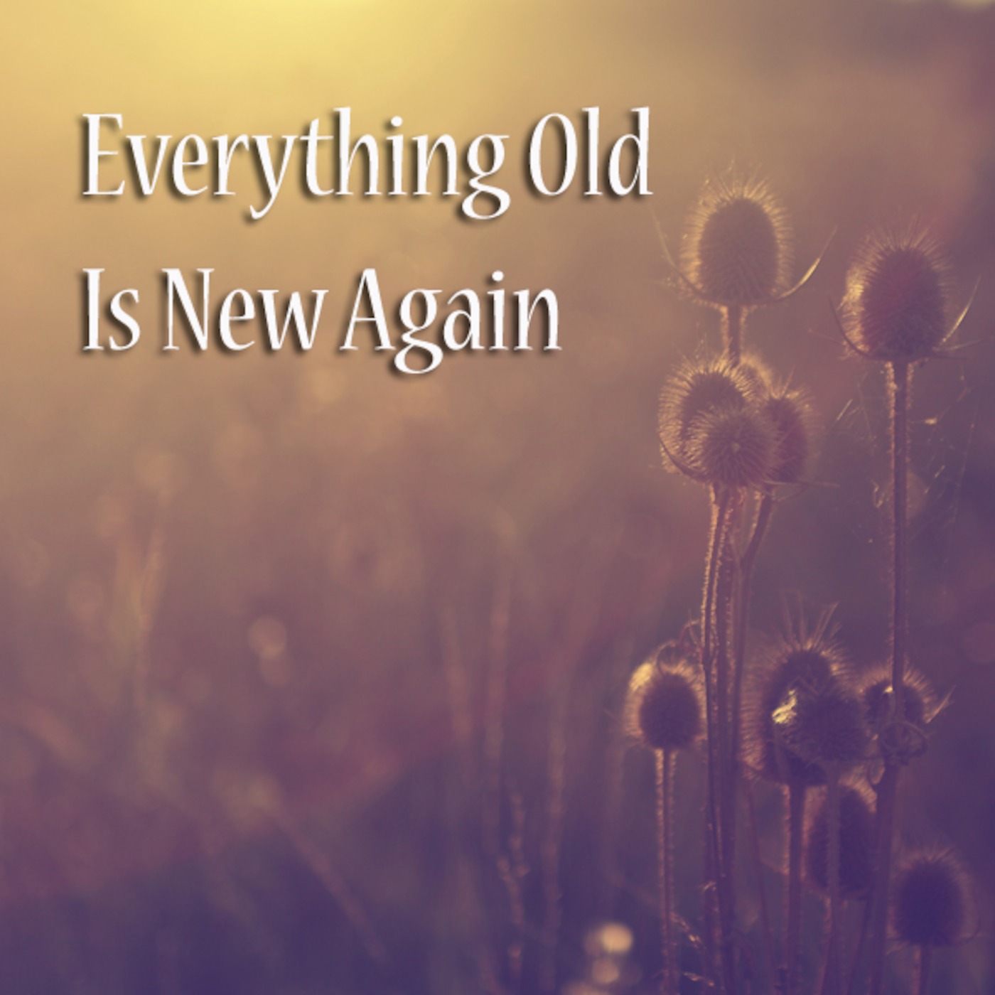 Mobility In The Spirit