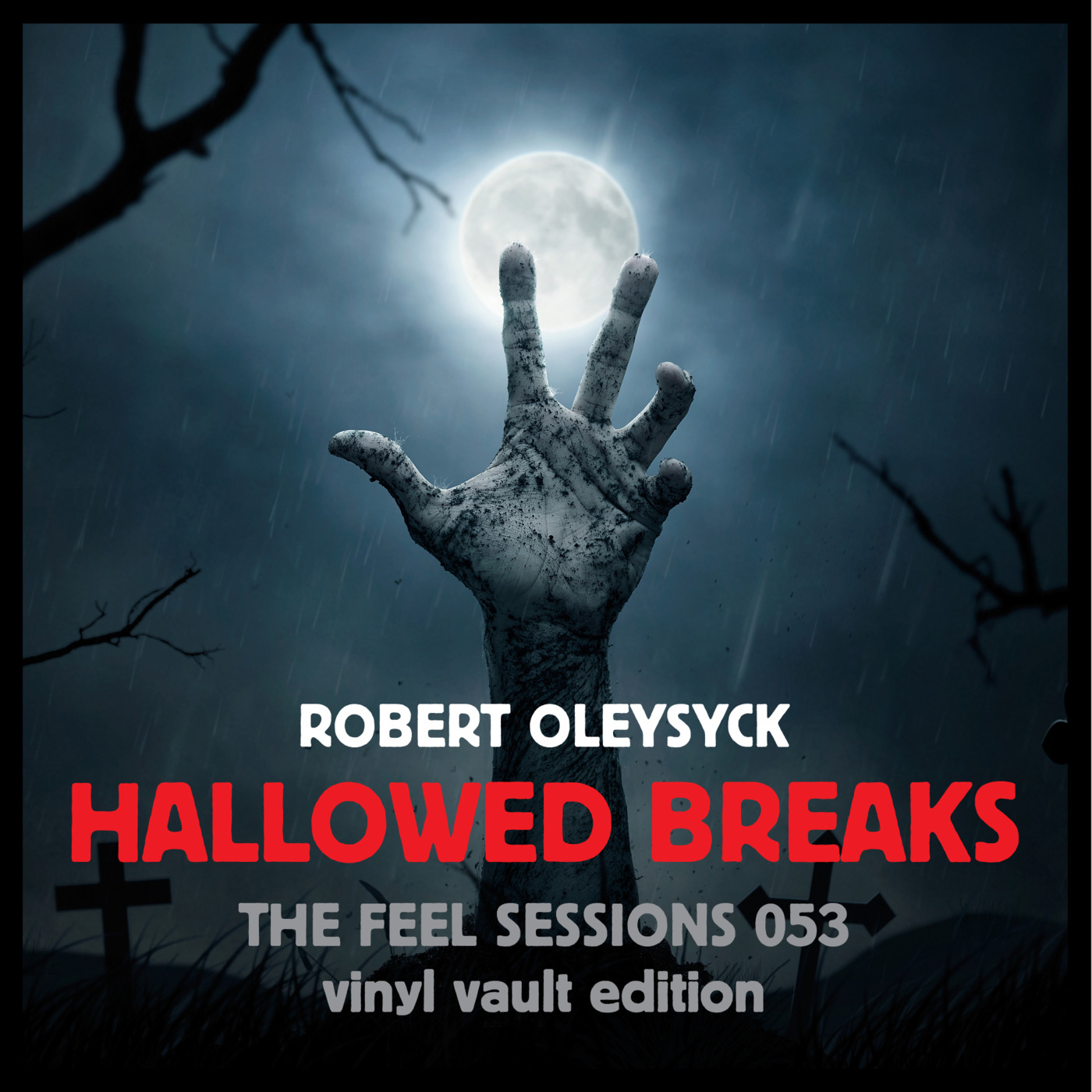 The Feel Sessions by Robert Oleysyck