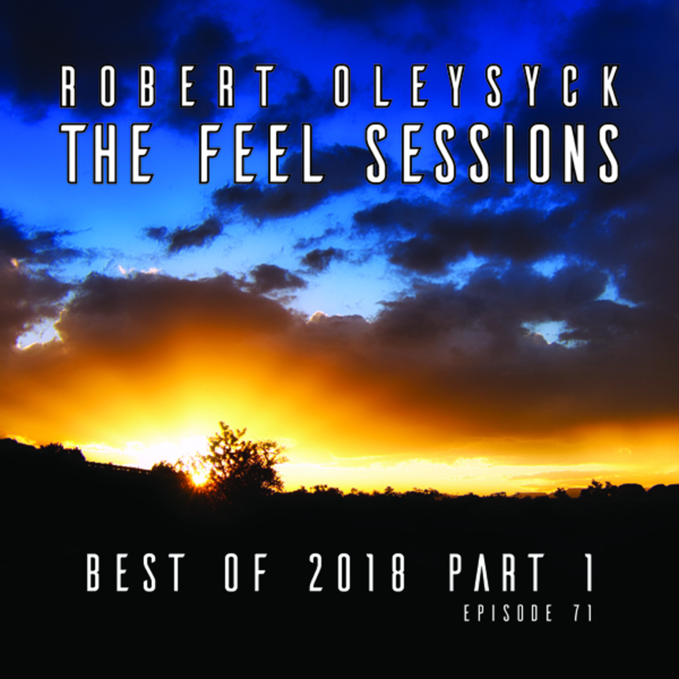 The Feel Sessions by Robert Oleysyck