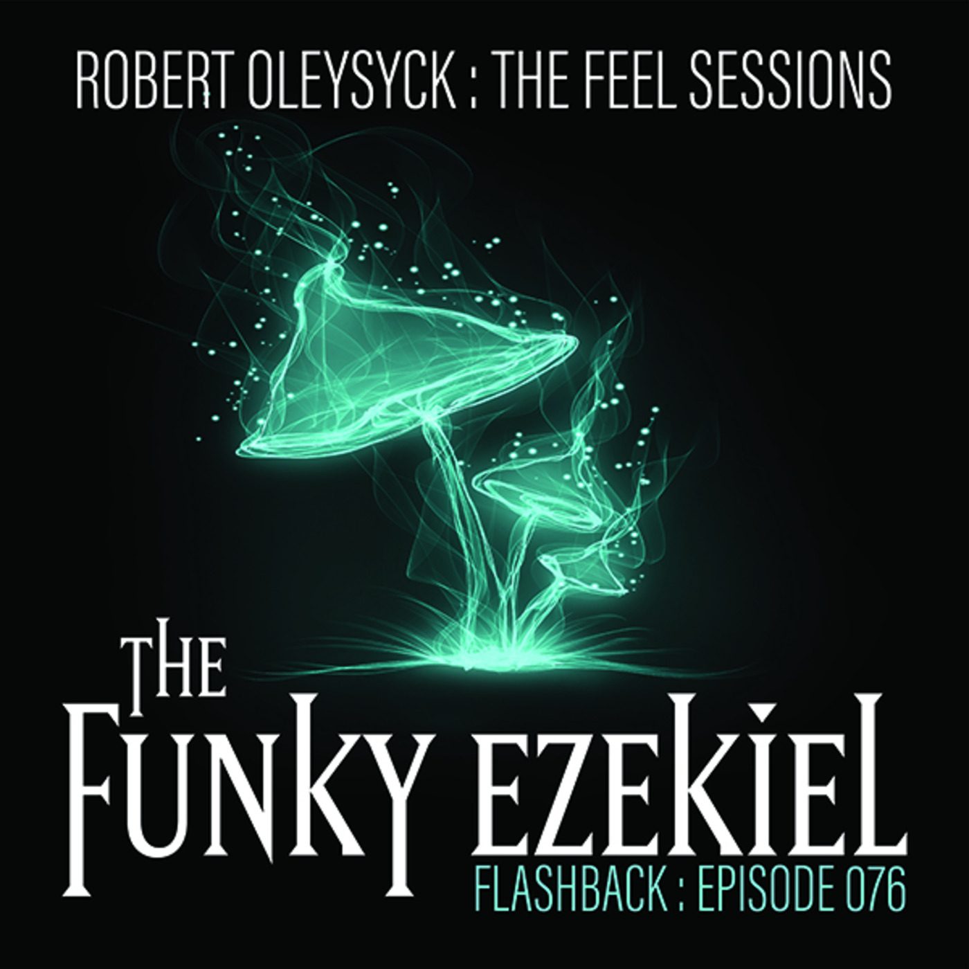 The Feel Sessions by Robert Oleysyck