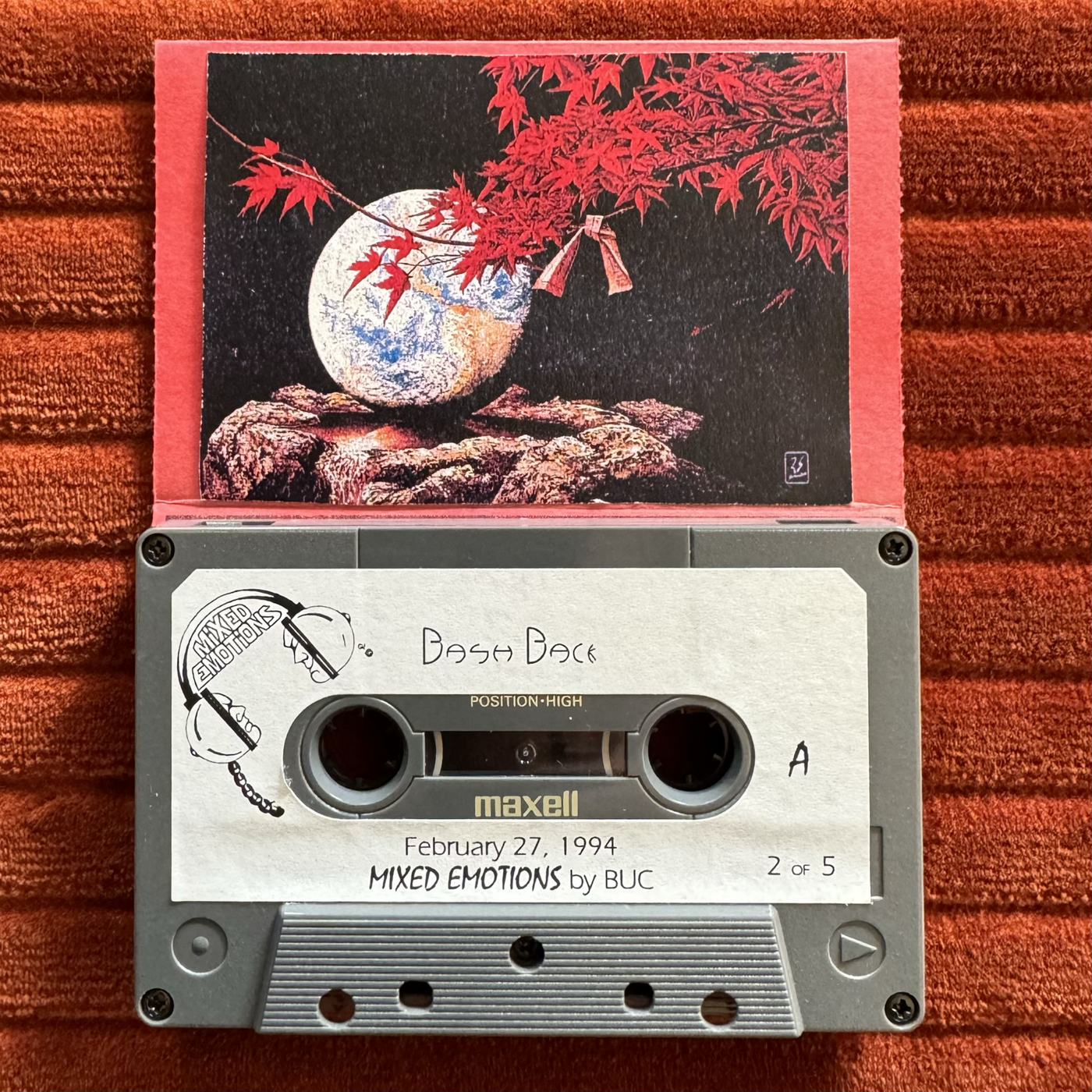 The Pine Walk Collection