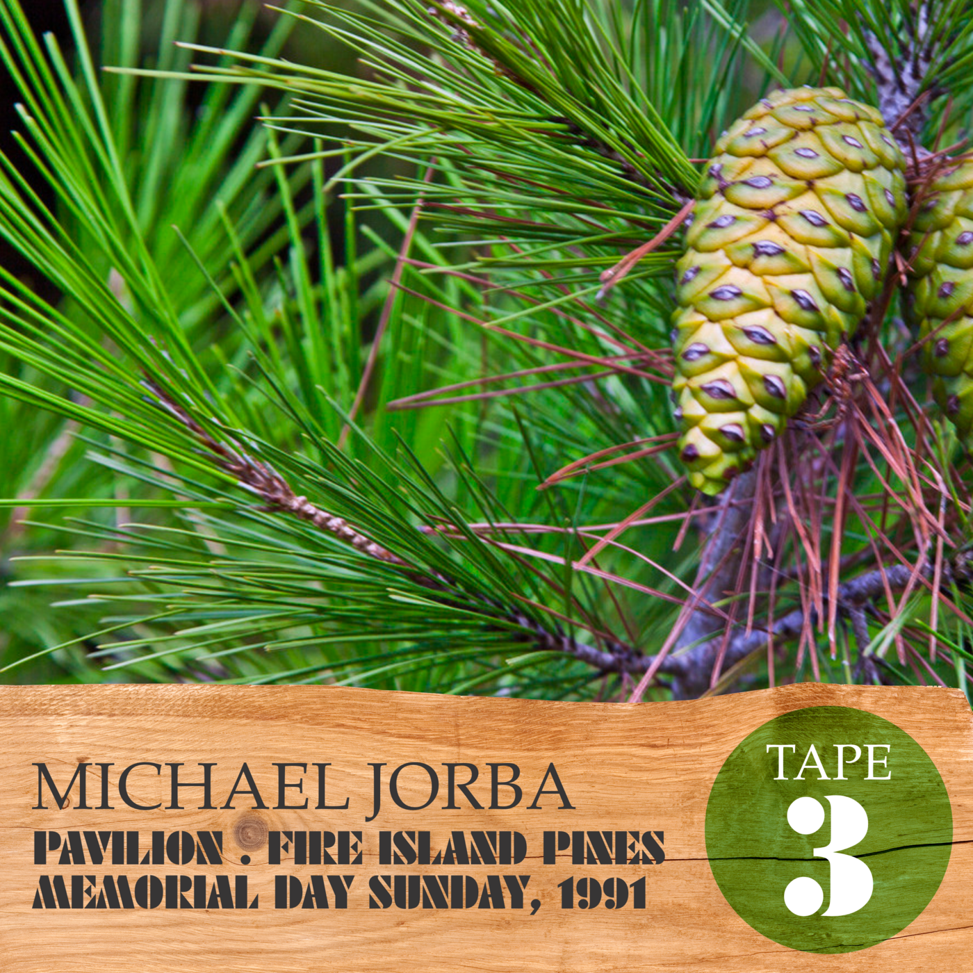 Episode 16: Tape 3 of 5: Michael Jorba . Pavilion . Fire Island Pines . May 26, 1991 episode artwork