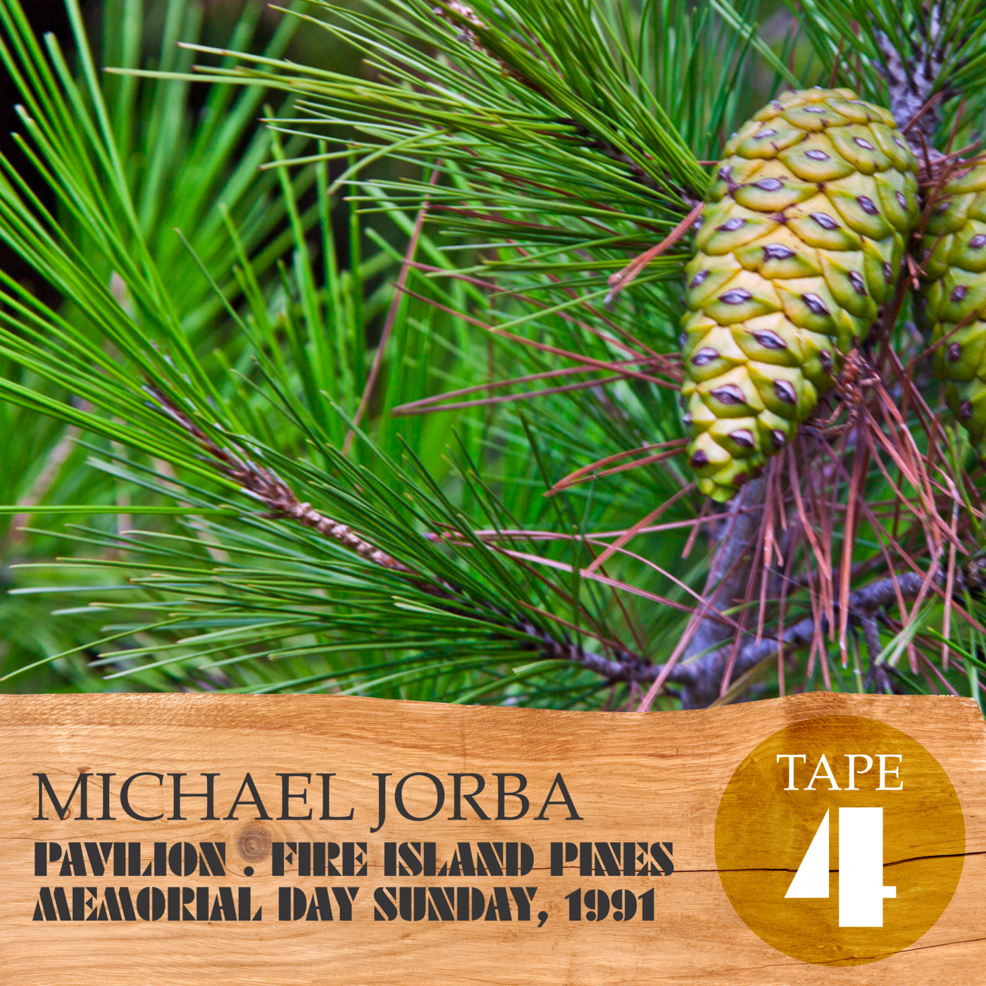Episode 16: Tape 4 of 5: Michael Jorba . Pavilion . Fire Island Pines . May 26, 1991 episode artwork