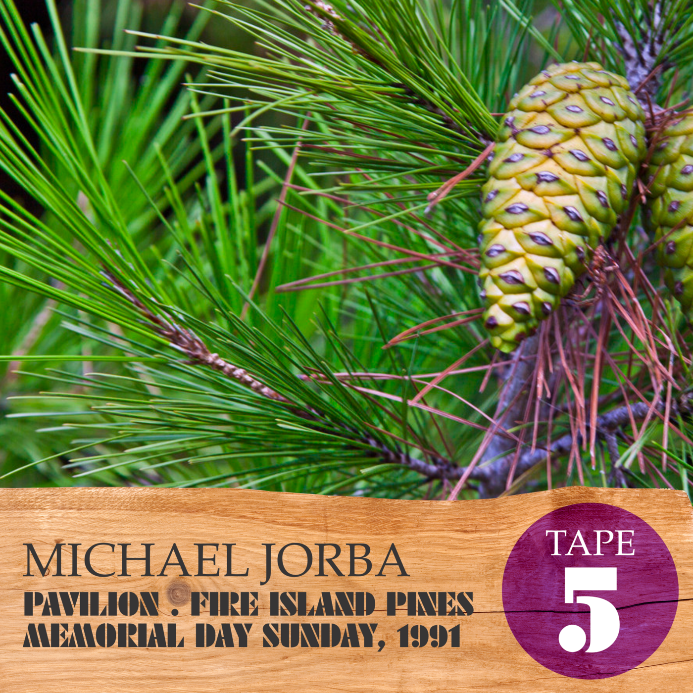 Episode 17: Tape 5 of 5: Michael Jorba . Pavilion . Fire Island Pines . May 26, 1991 episode artwork