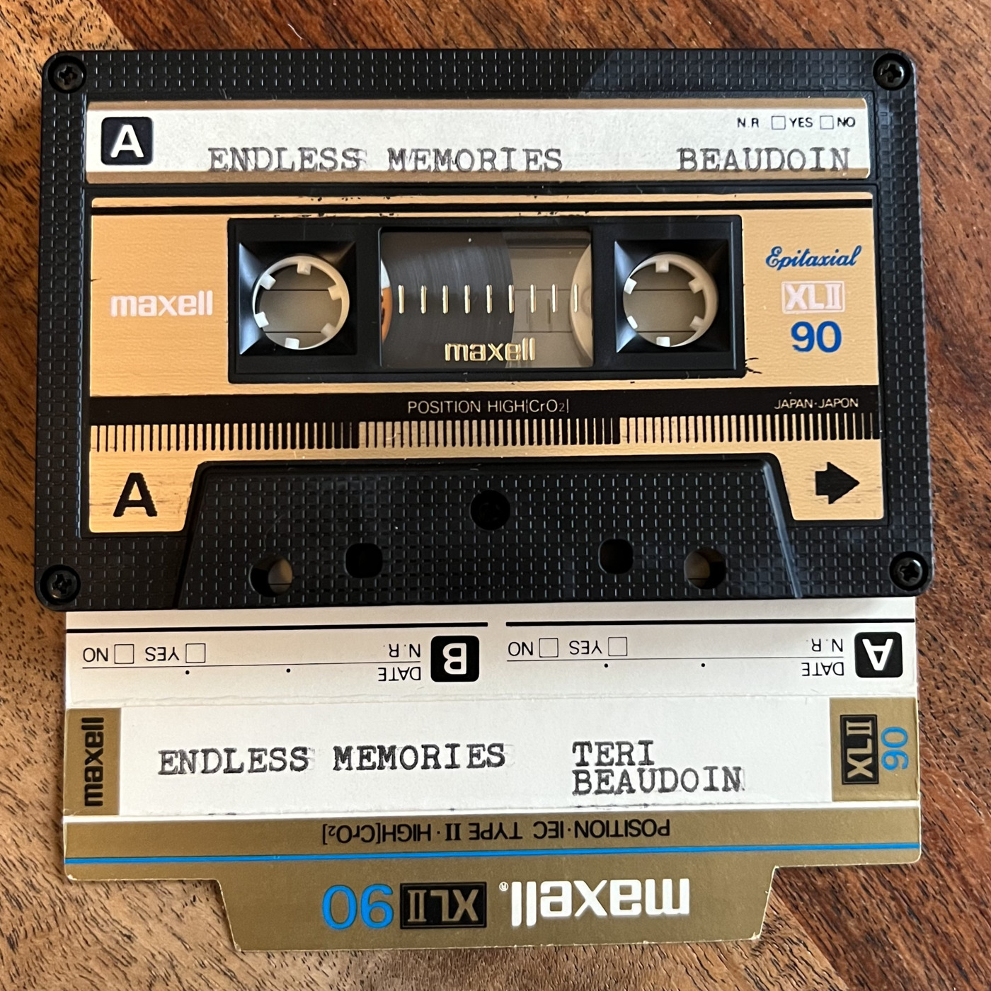 Episode 27: Teri Beaudoin . Endless Memories episode artwork