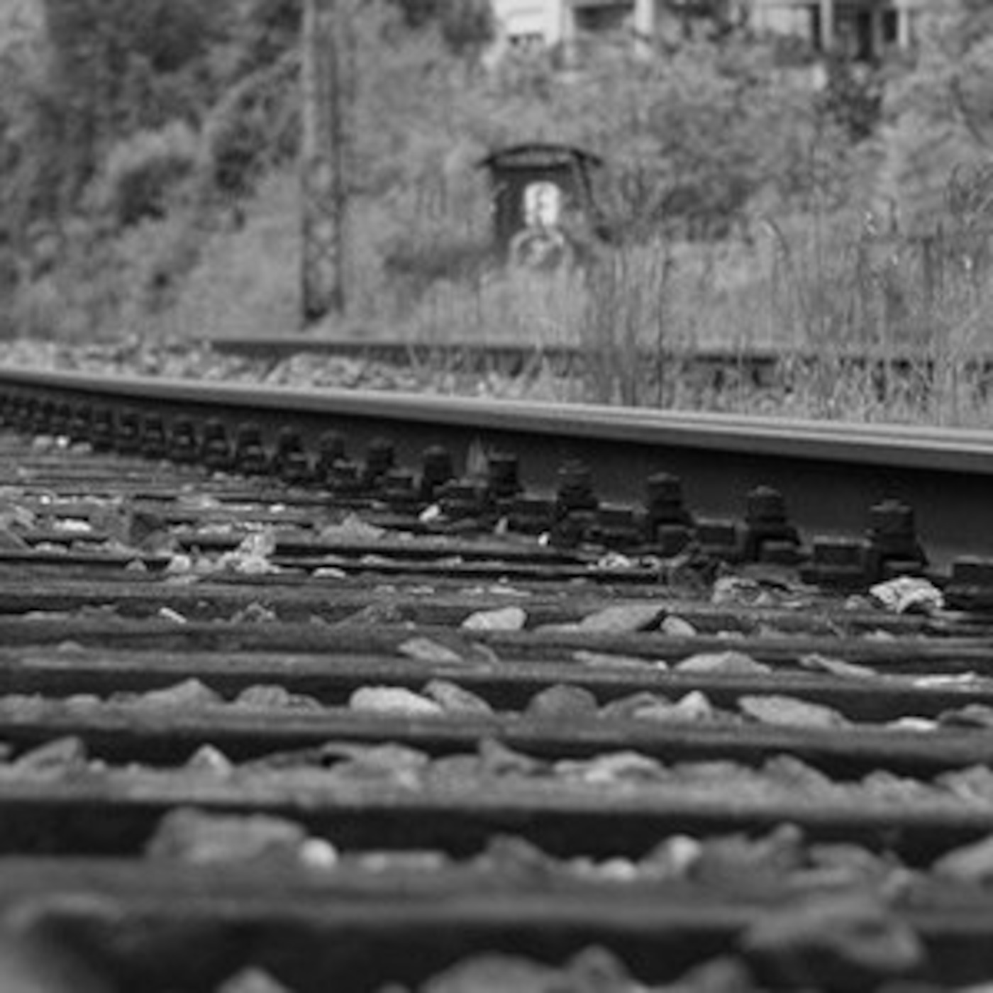 פרק 9: "נביאי הזעם" - על כותבים שניבאו את השואה פרק 9: "נביאי הזעם" - על כותבים שניבאו את השואה