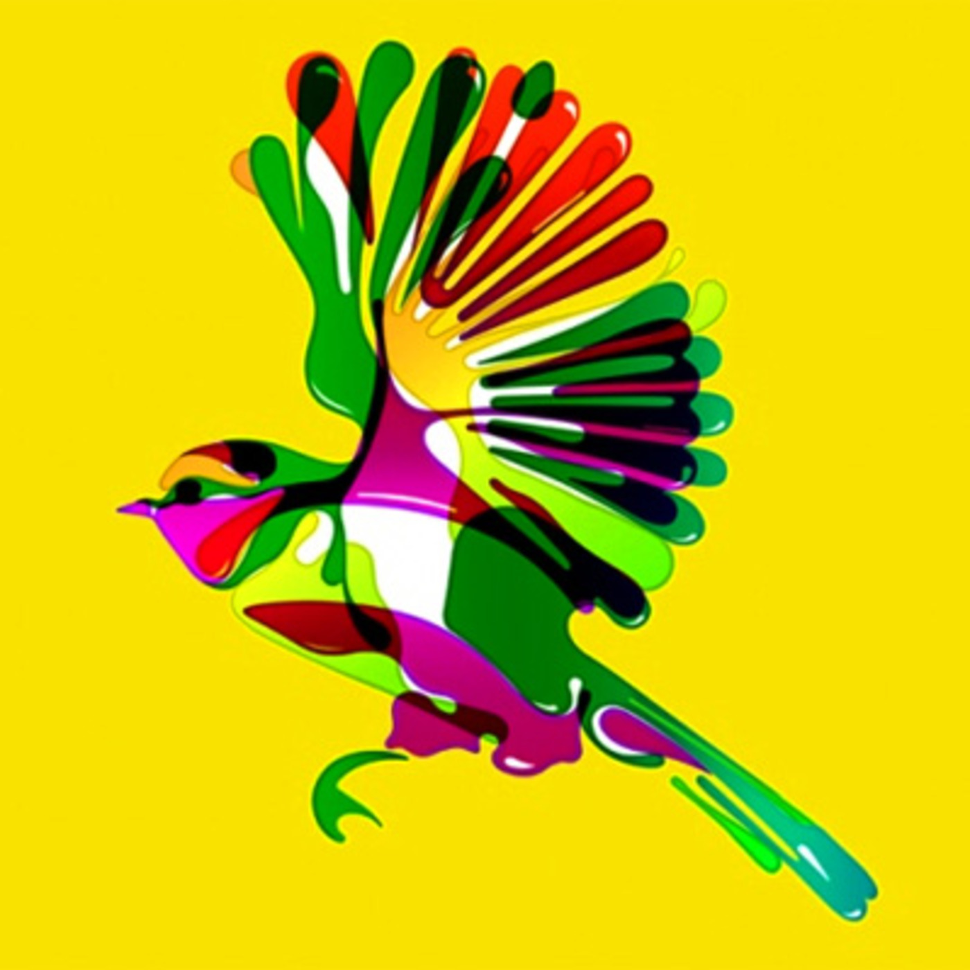 Balearica Vol. VI