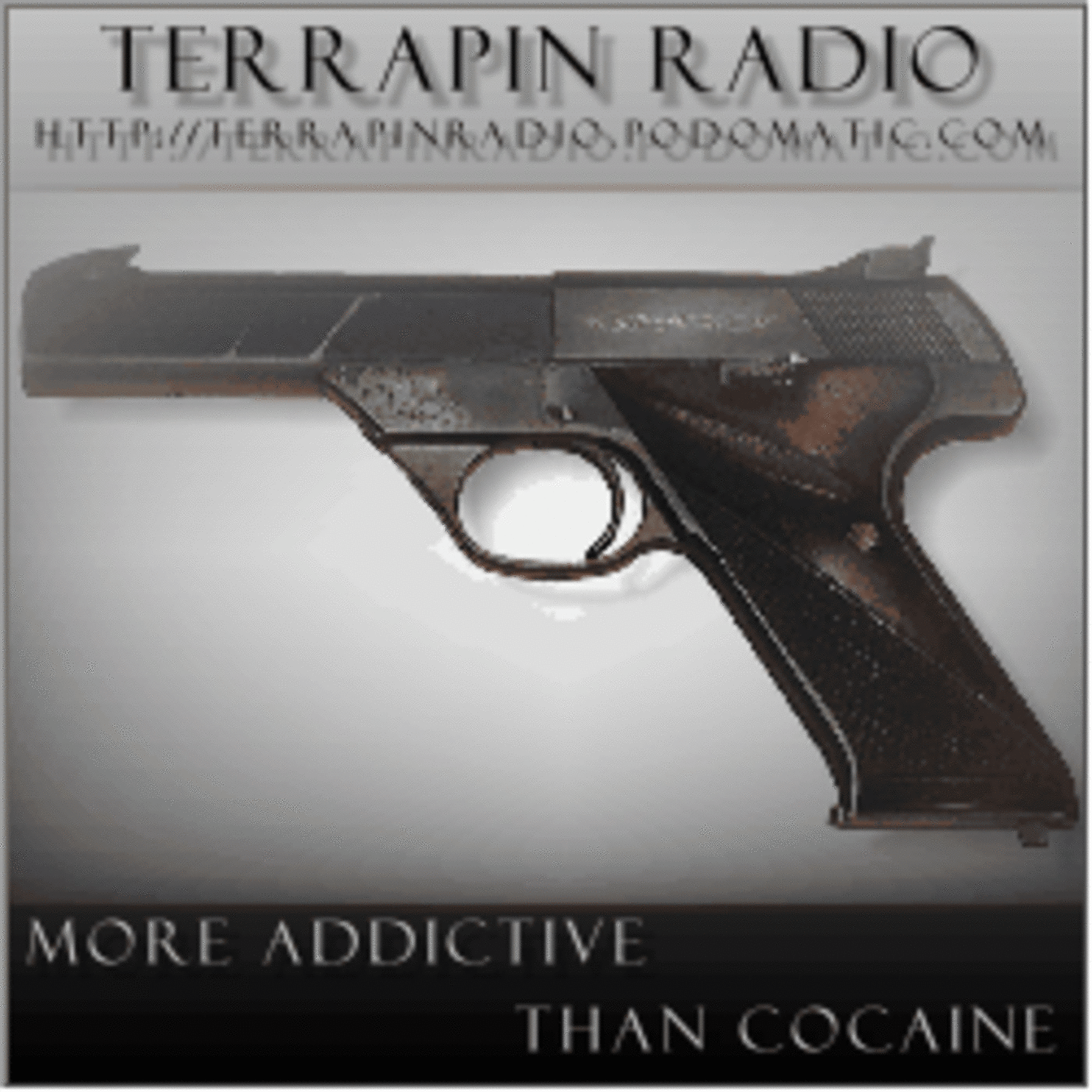 terrapin radio