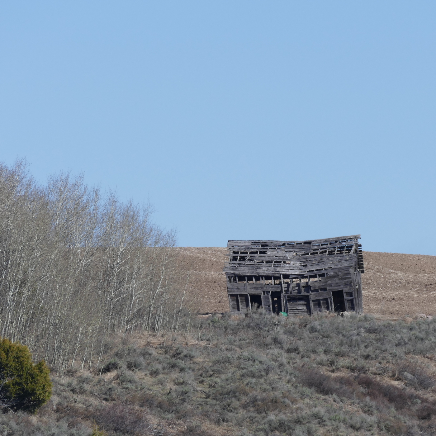 KGLT Radio: Uncle Duke\'s Stream Of Consciousness