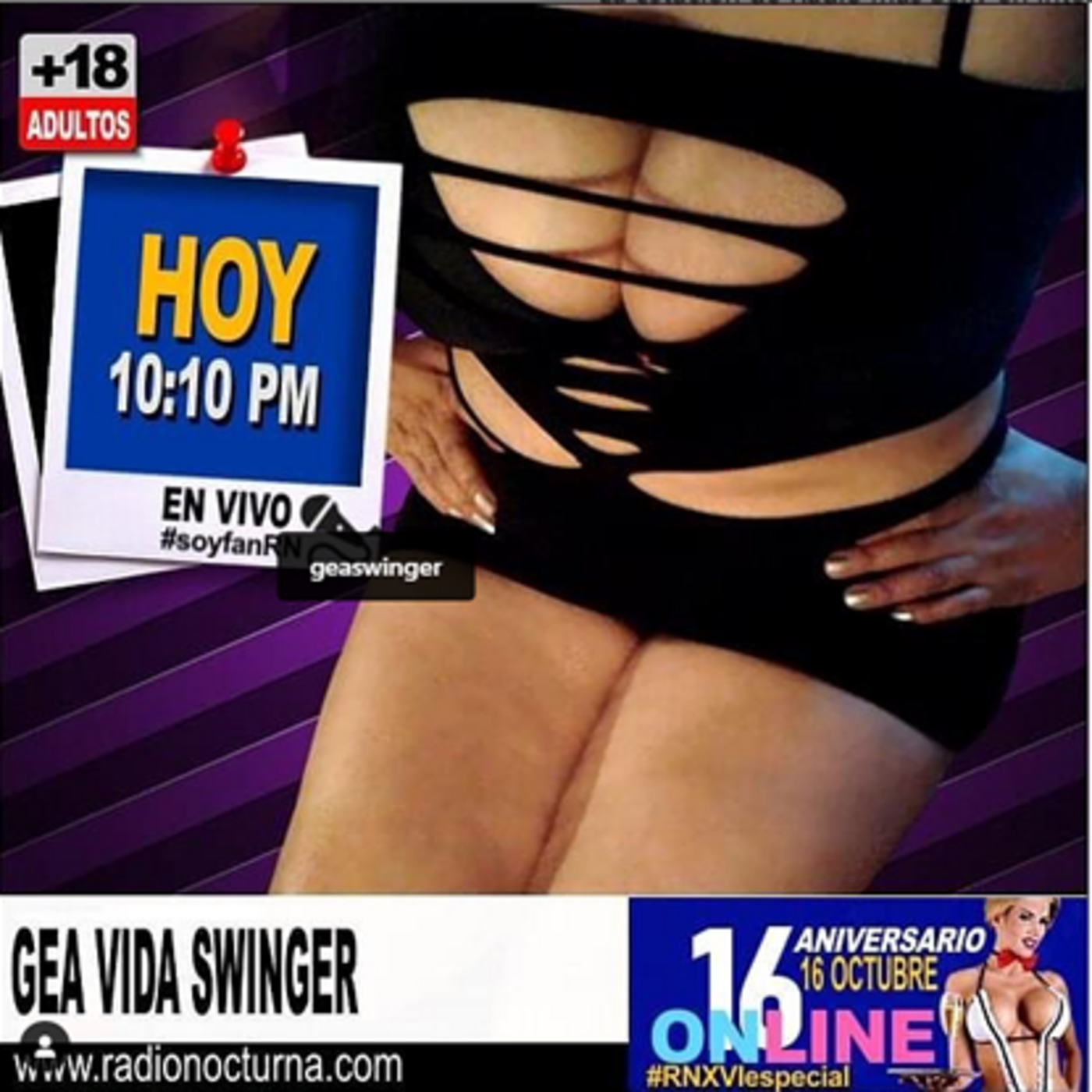 Diccionario de terminos swinger