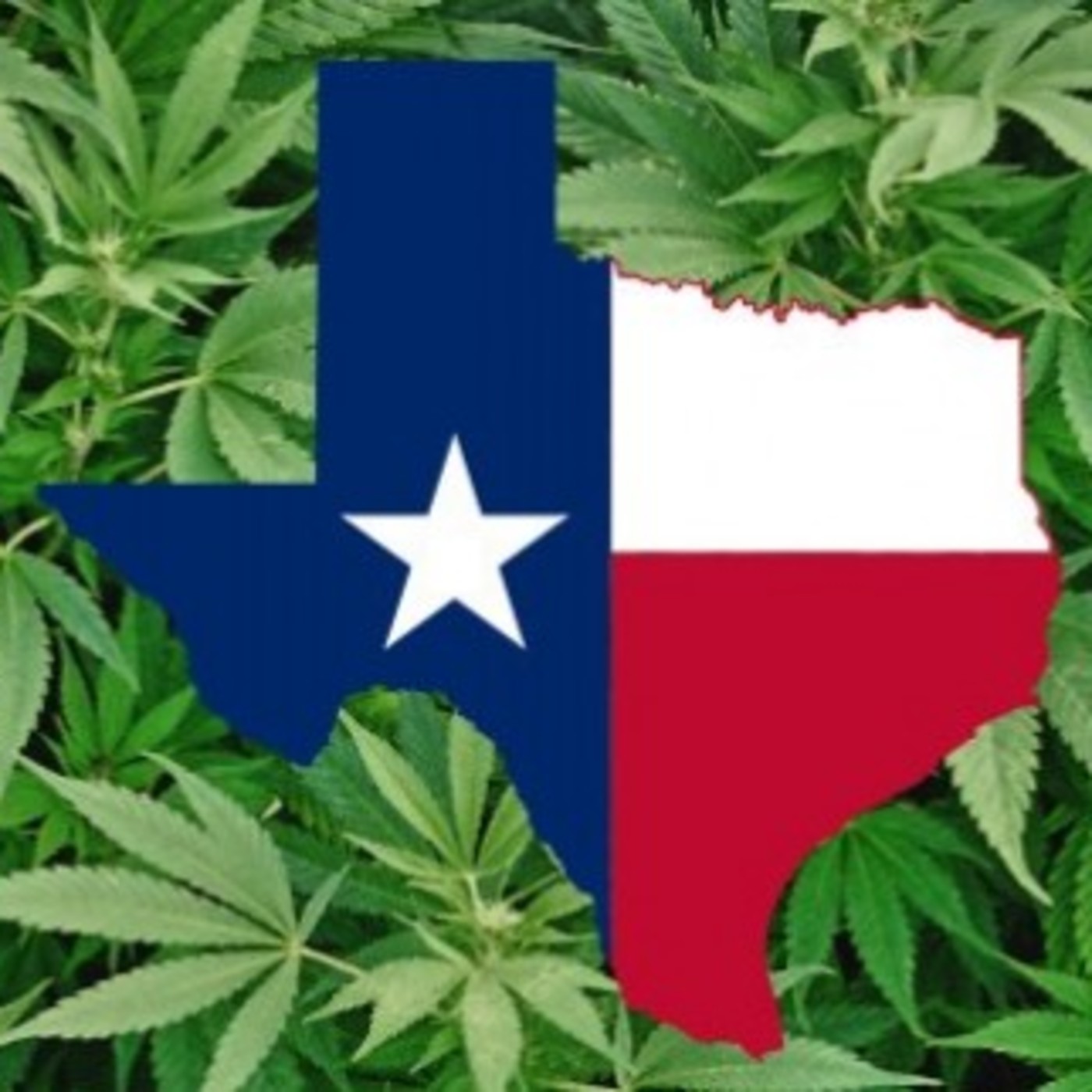 Texas Cannabis Report: Episode 4 episode artwork