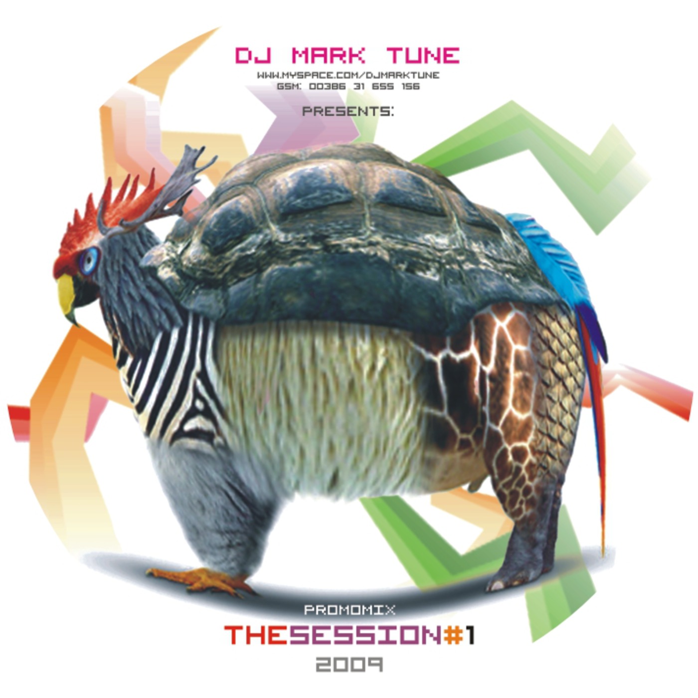 DJ MARK-TUNE pres.THESESSION MIX JAN 2009
