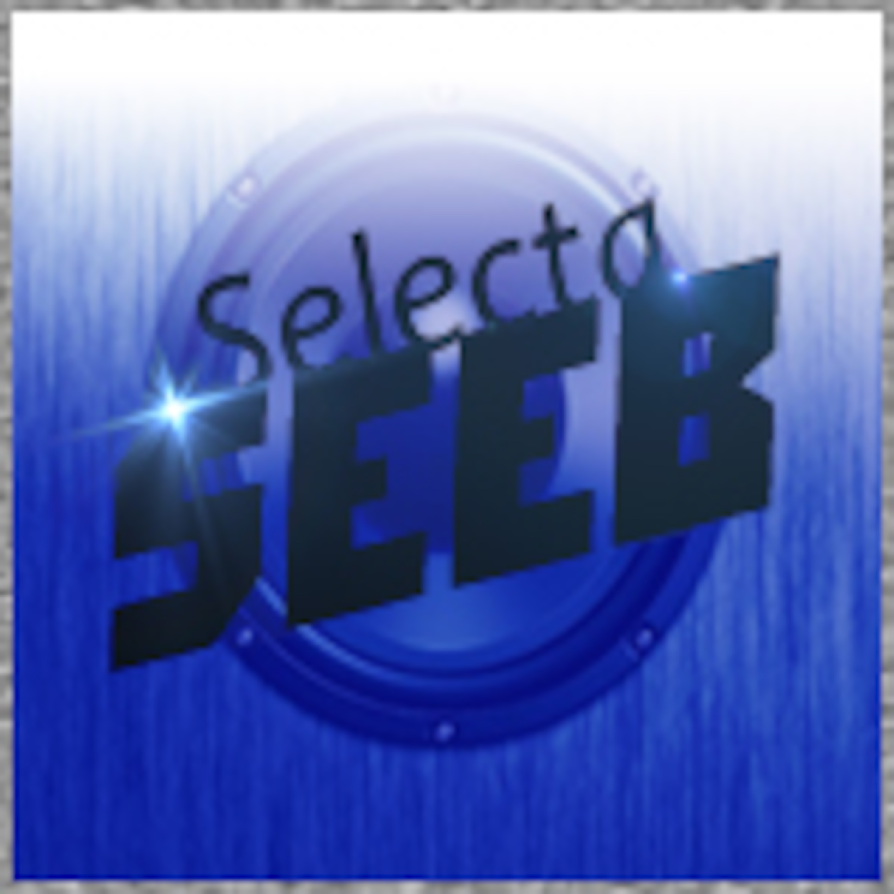 DJ Seeb podcast artwork