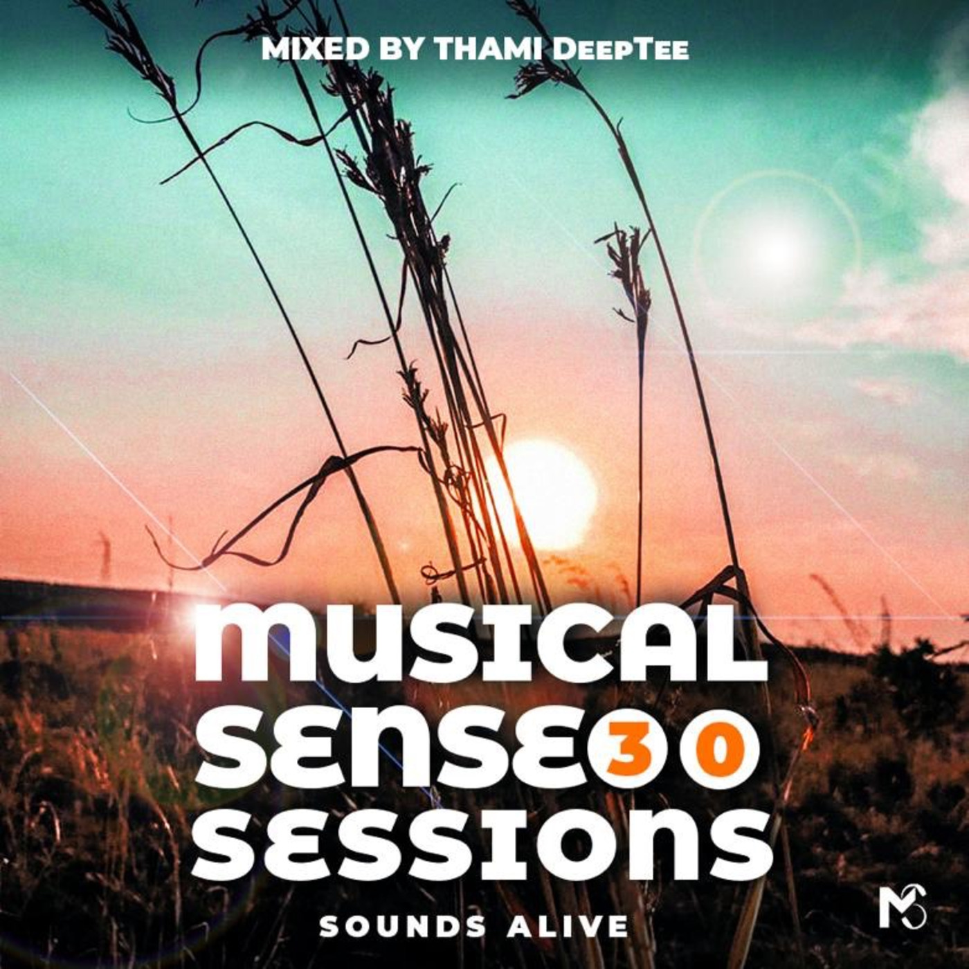 Musical Sense Sessions\' Podcast