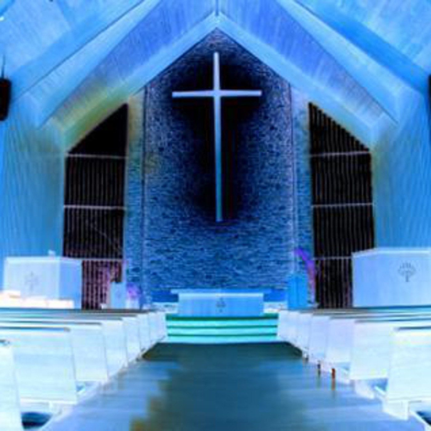 Episode 7 - No Spots Allowed