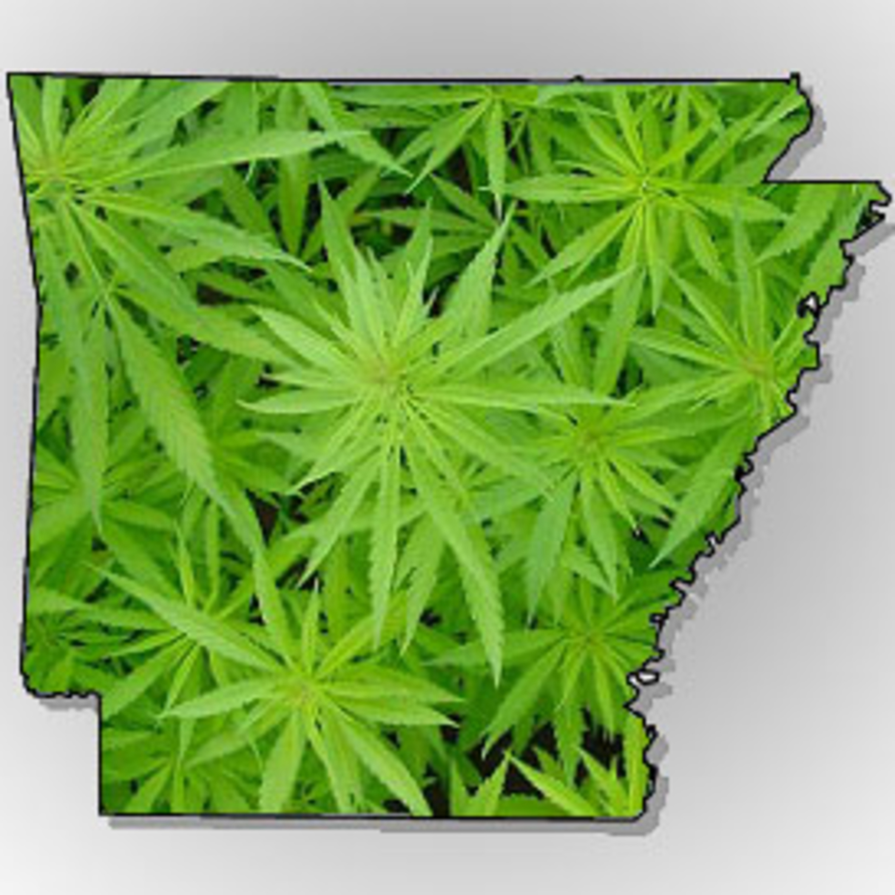 WANT YOUR WEED CARD? LISTEN HERE. episode artwork