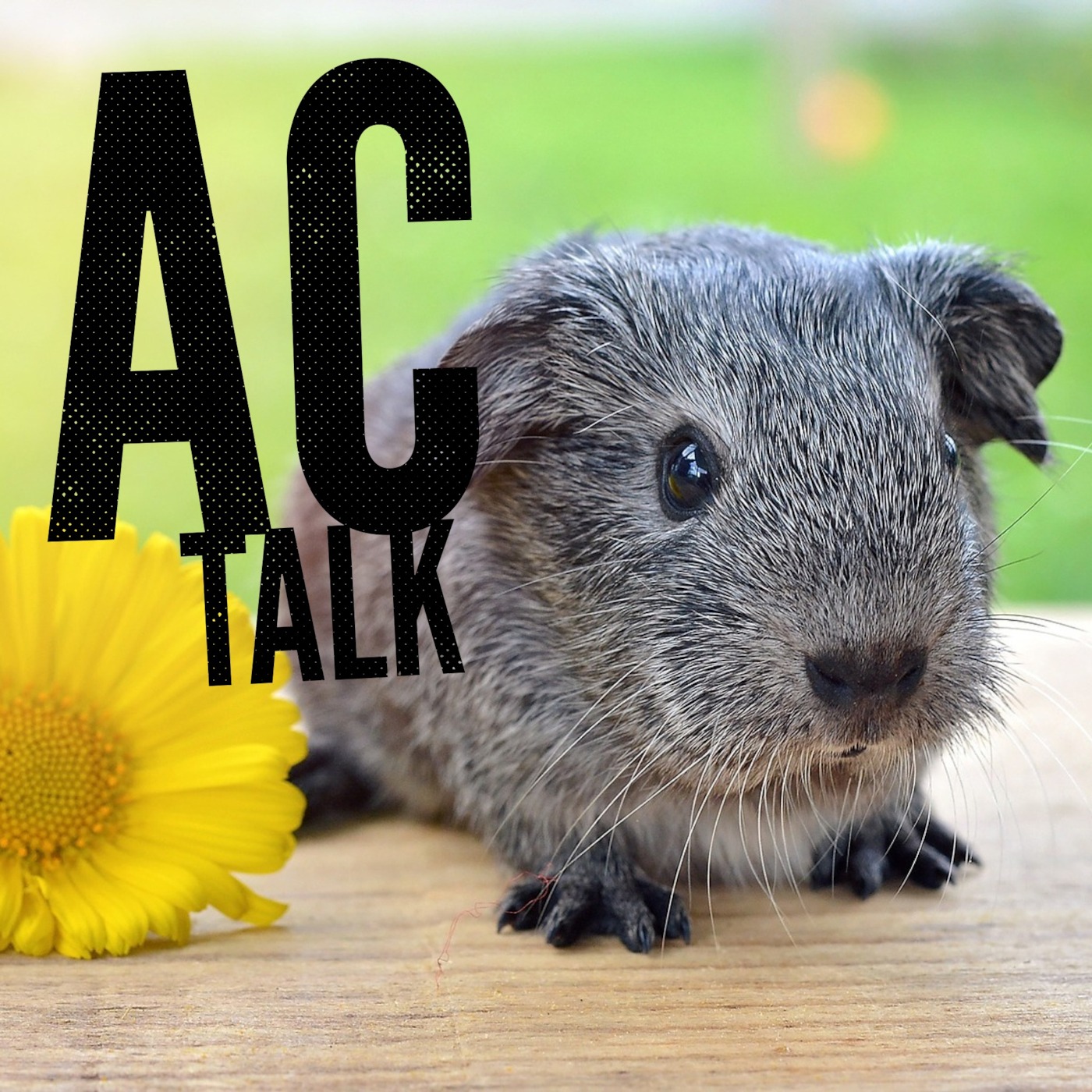 AC podcast
