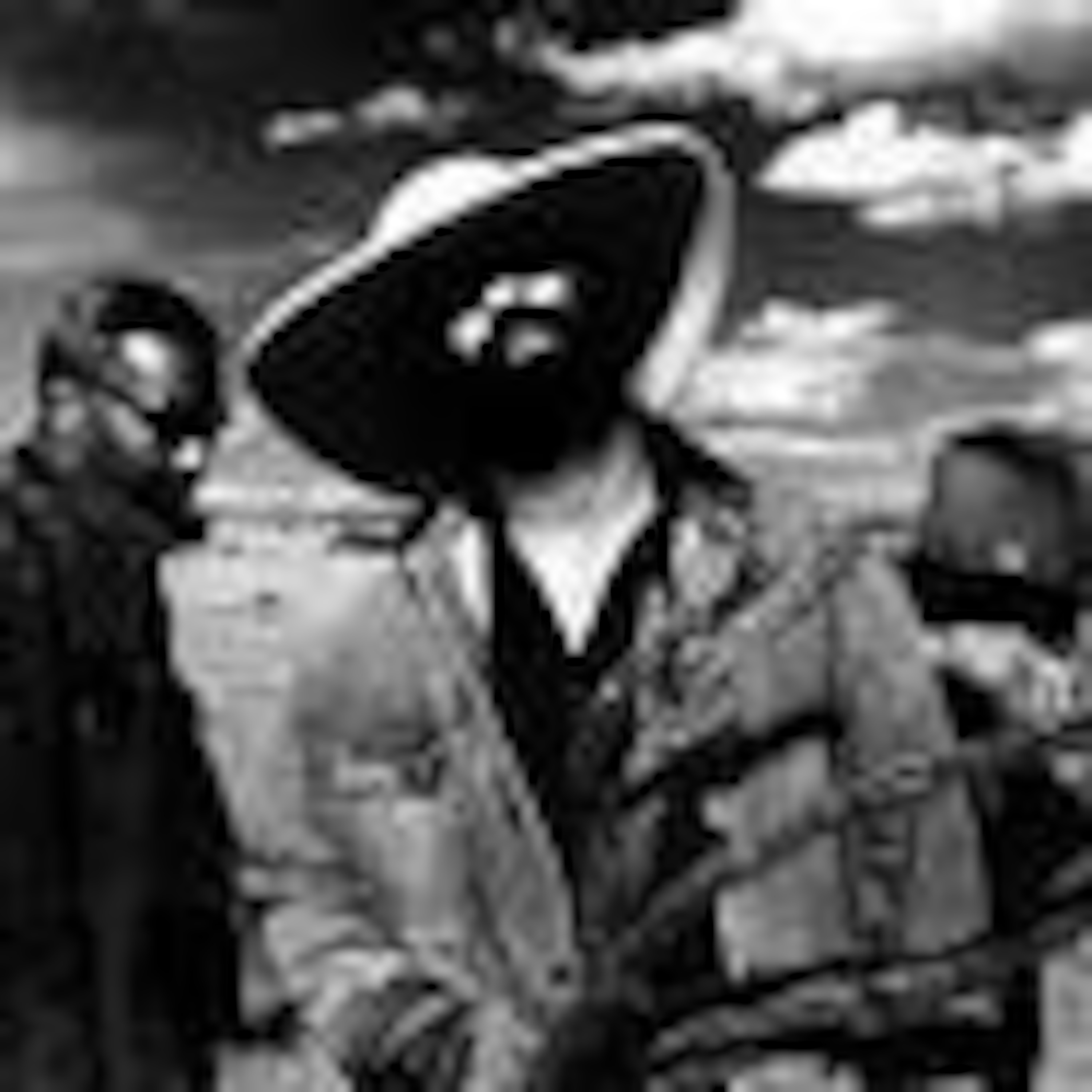 Bluesfarm Rhinetown Podcast for blues, alt.country, americana, roots, folk, bluesrock