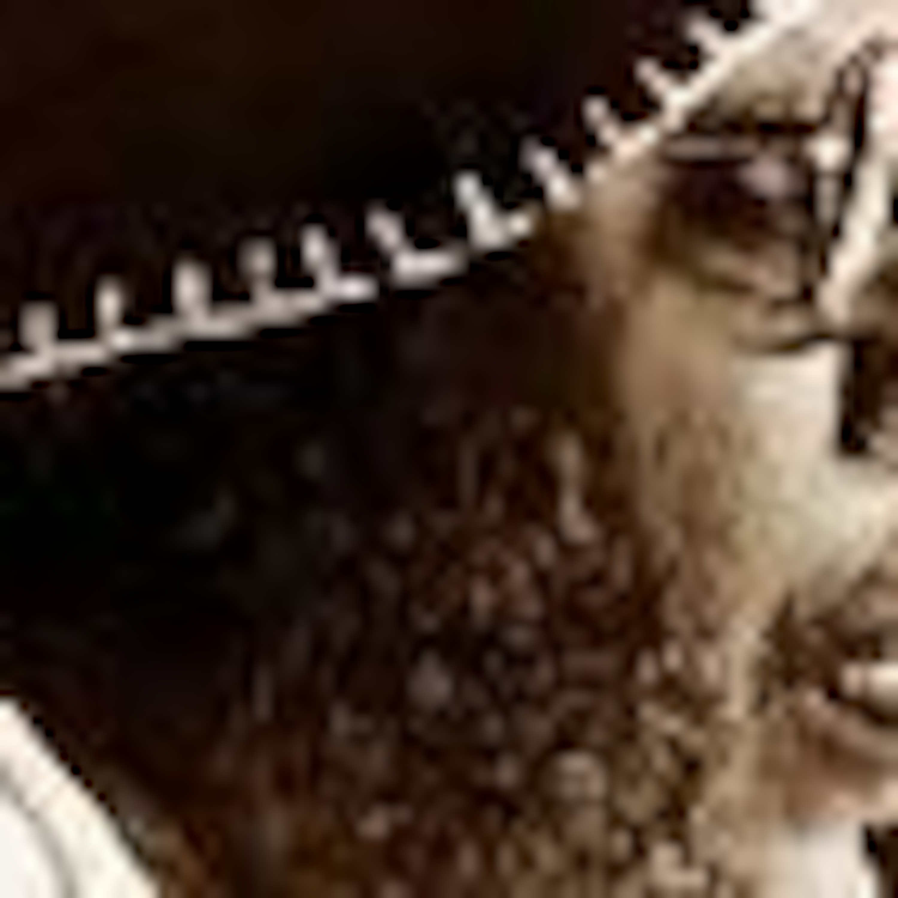 Bluesfarm Rhinetown Podcast for blues, alt.country, americana, roots, folk, bluesrock