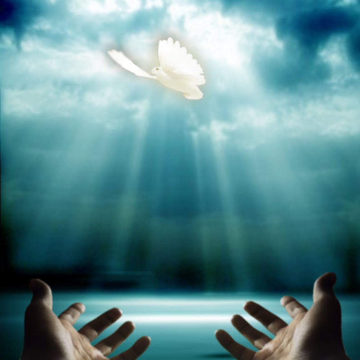 Oakhaven Church\'s Podcast