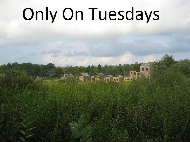 Only on Tuesdays Podcast