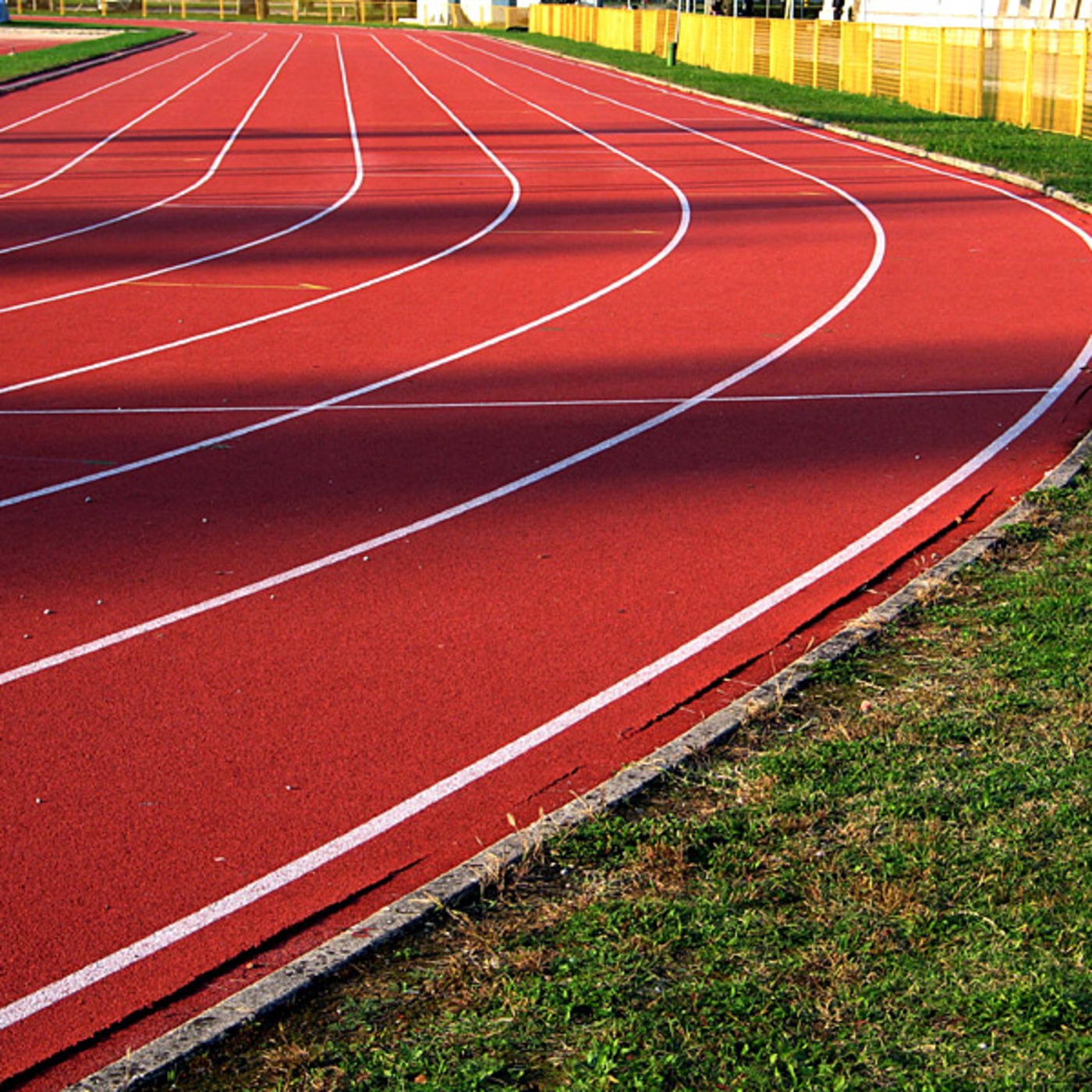 Training Principles in 10 Minutes