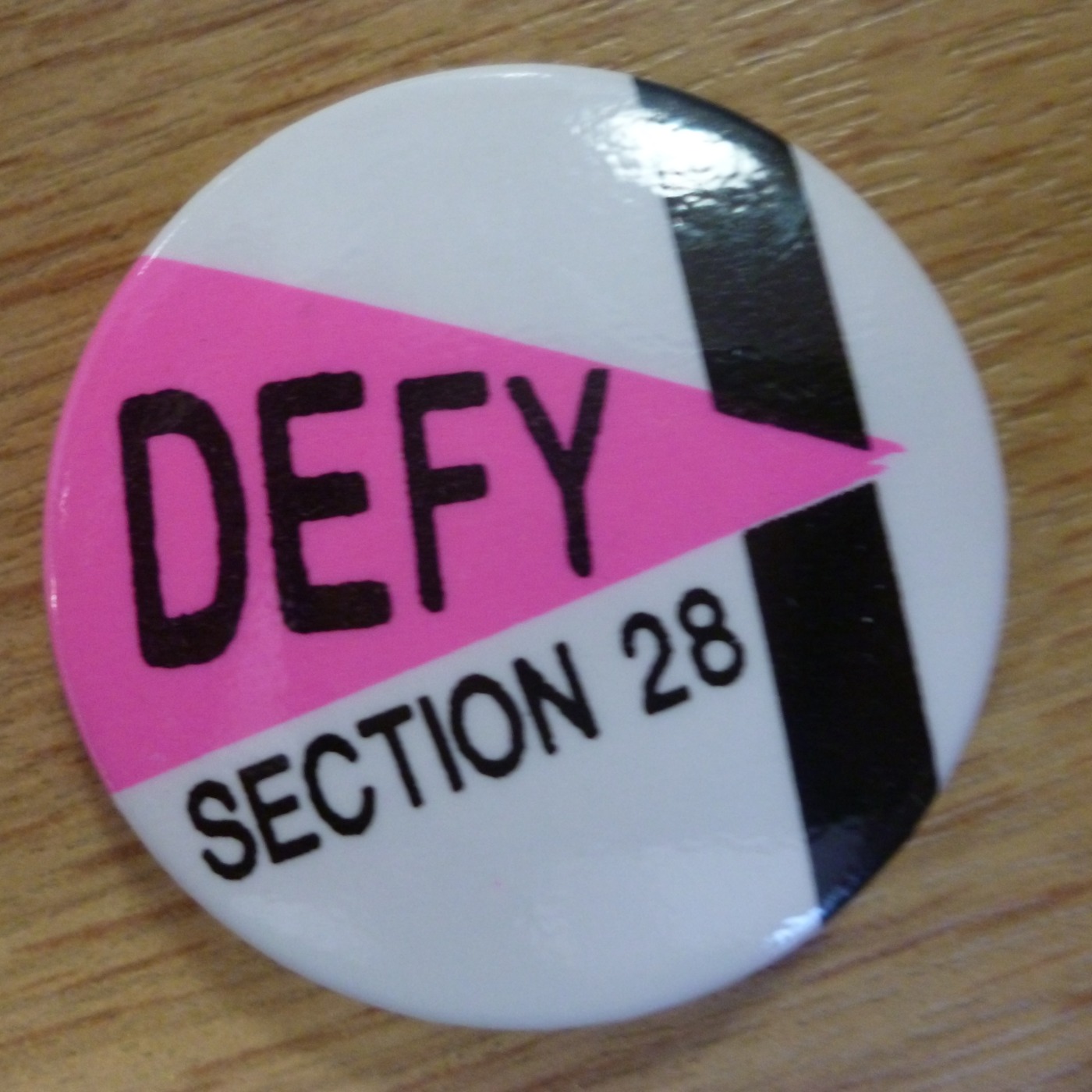 LGBT History Month 2016 - Section 28