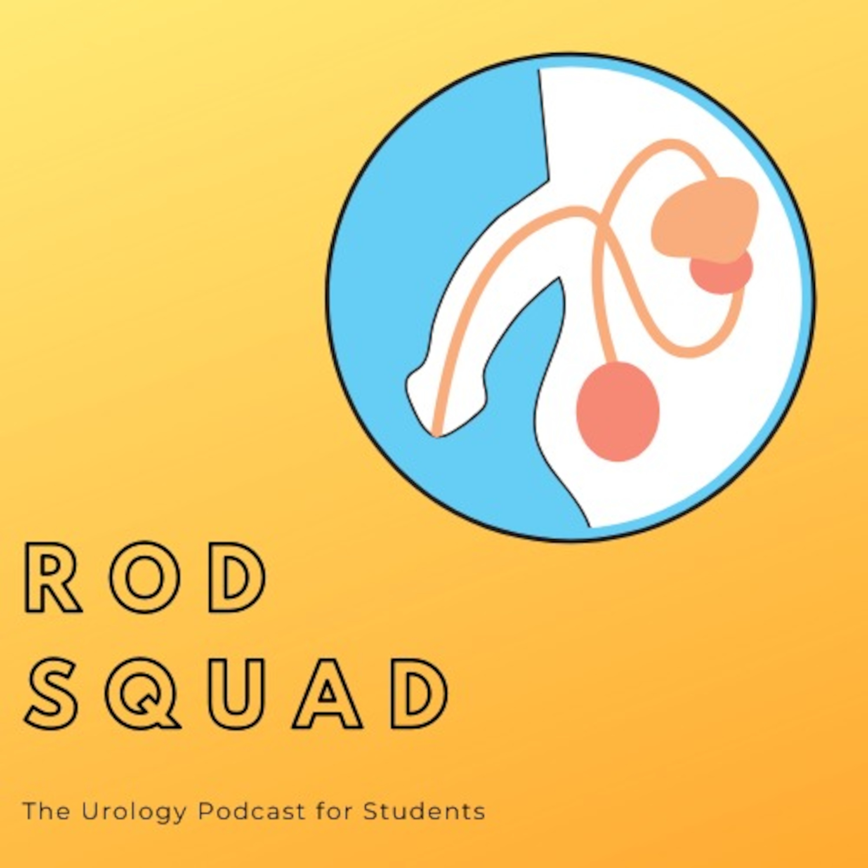Rod Squad: The Urology Podcast for Students