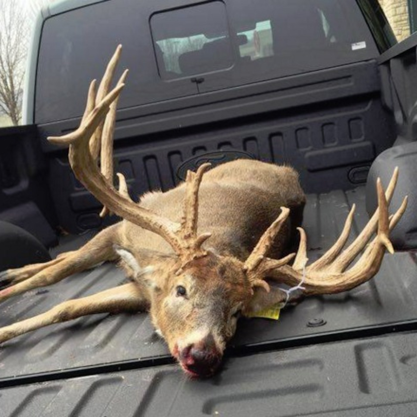 PA Rut Report: Episode 18 - The year in review... You won't believe what PA Rut Brad did...