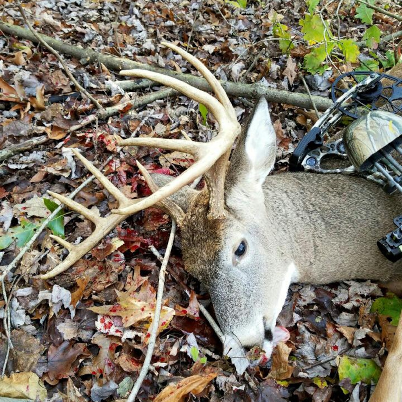 PA Rut Report: Episode 24 - The time of the Rut is upon us!