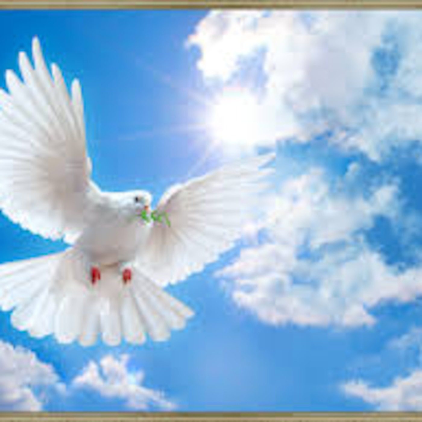 Sovereign Reign- The Healing Mill 7/9/15