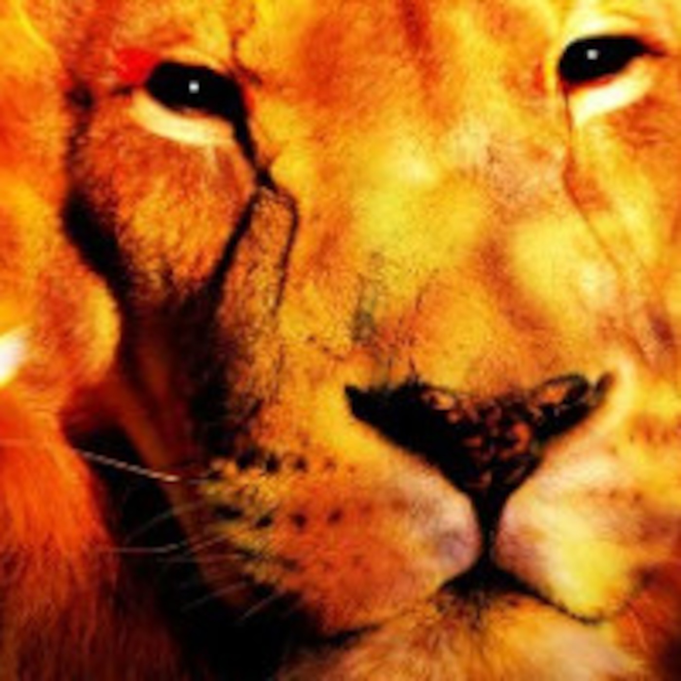 The Pursuit of Righteousness
